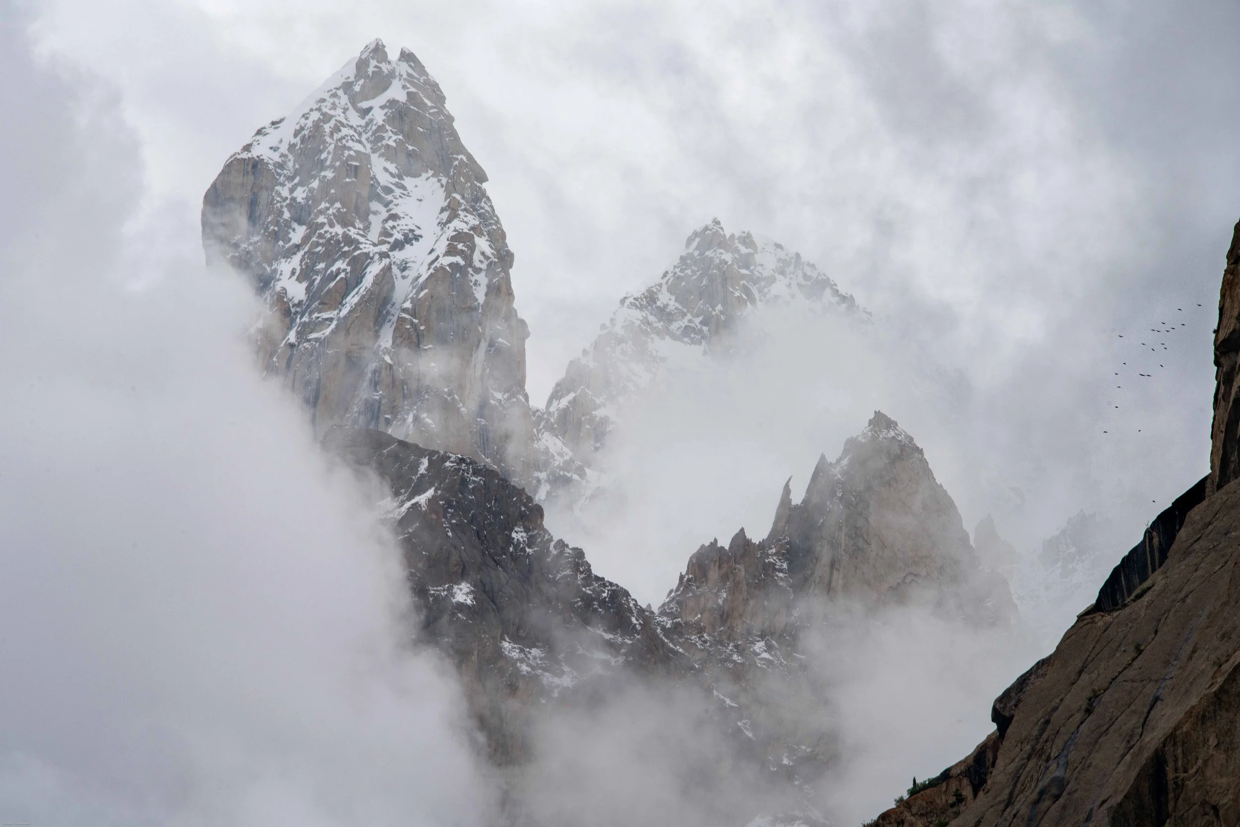 LINK SAR_Zimmerman_NFPITCH (22 of 244).jpg