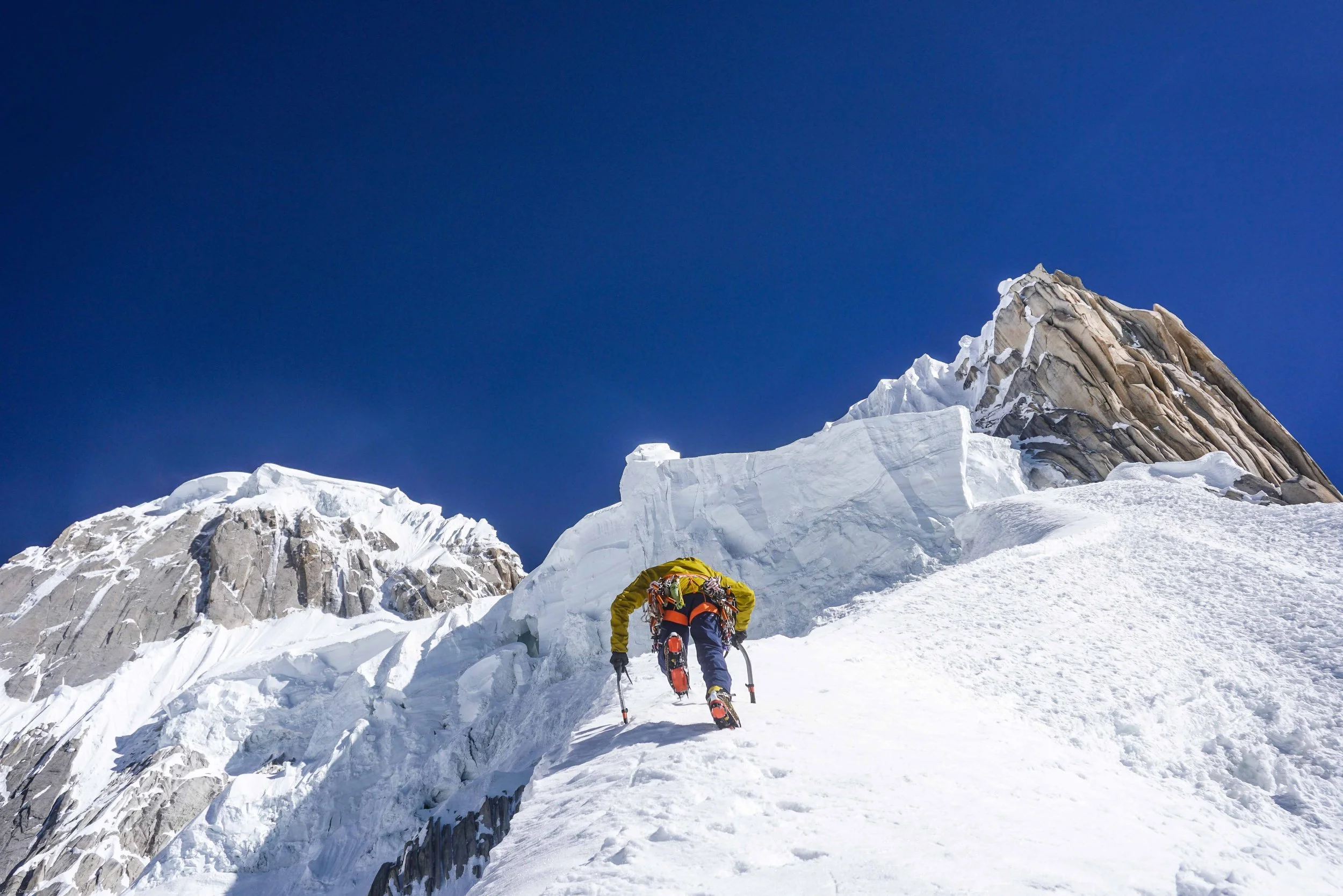 Images for MBooks_Zimmerman5 (1).jpg