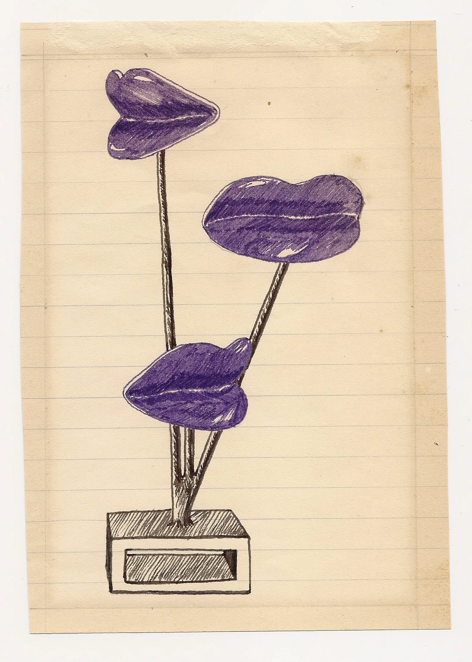 scan0007.jpg