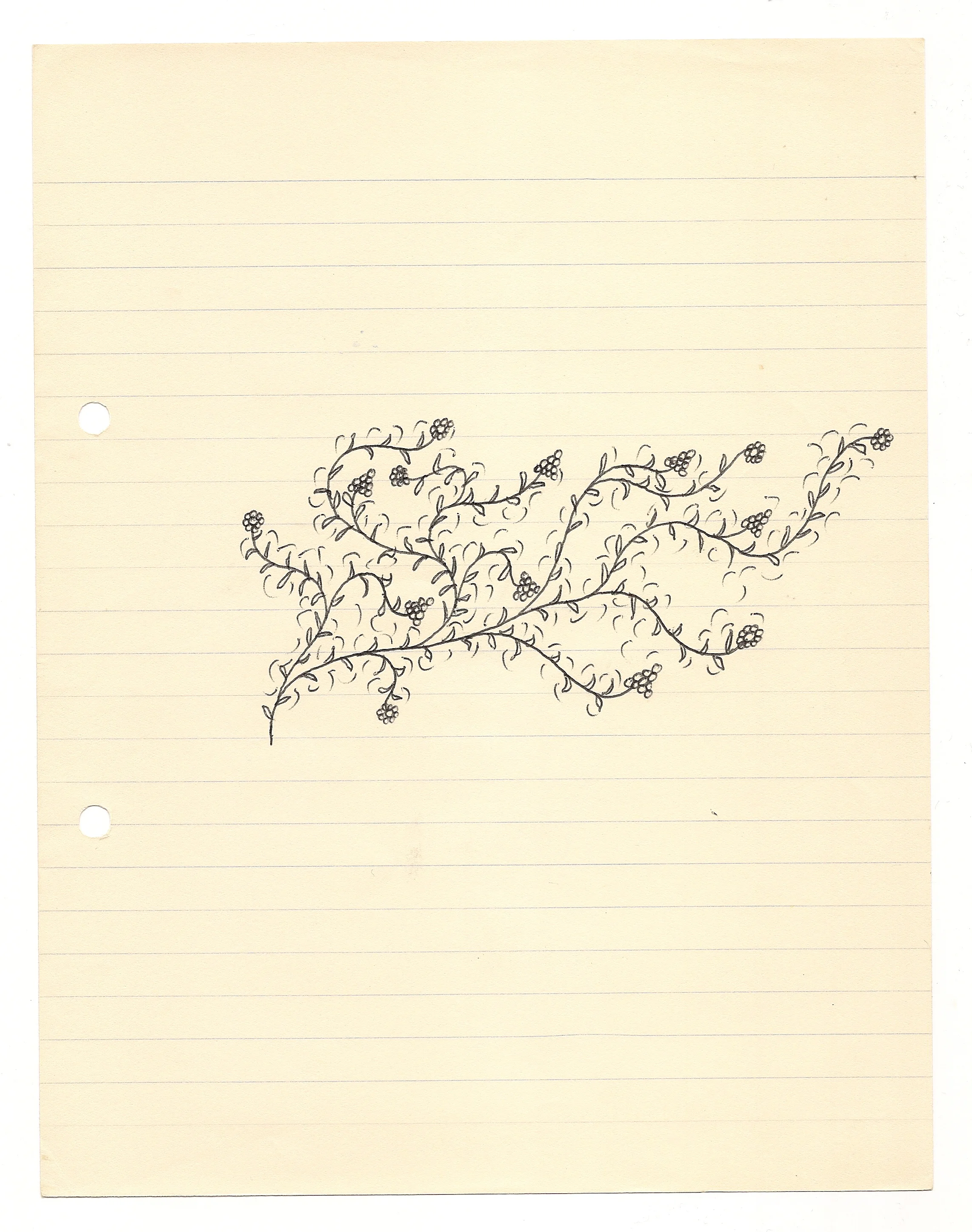 scan0013.jpg