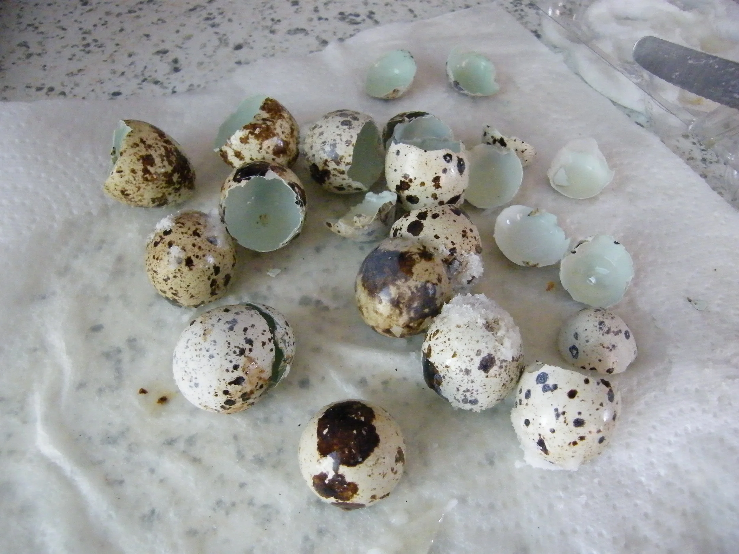 Bacon and Eggs Keller