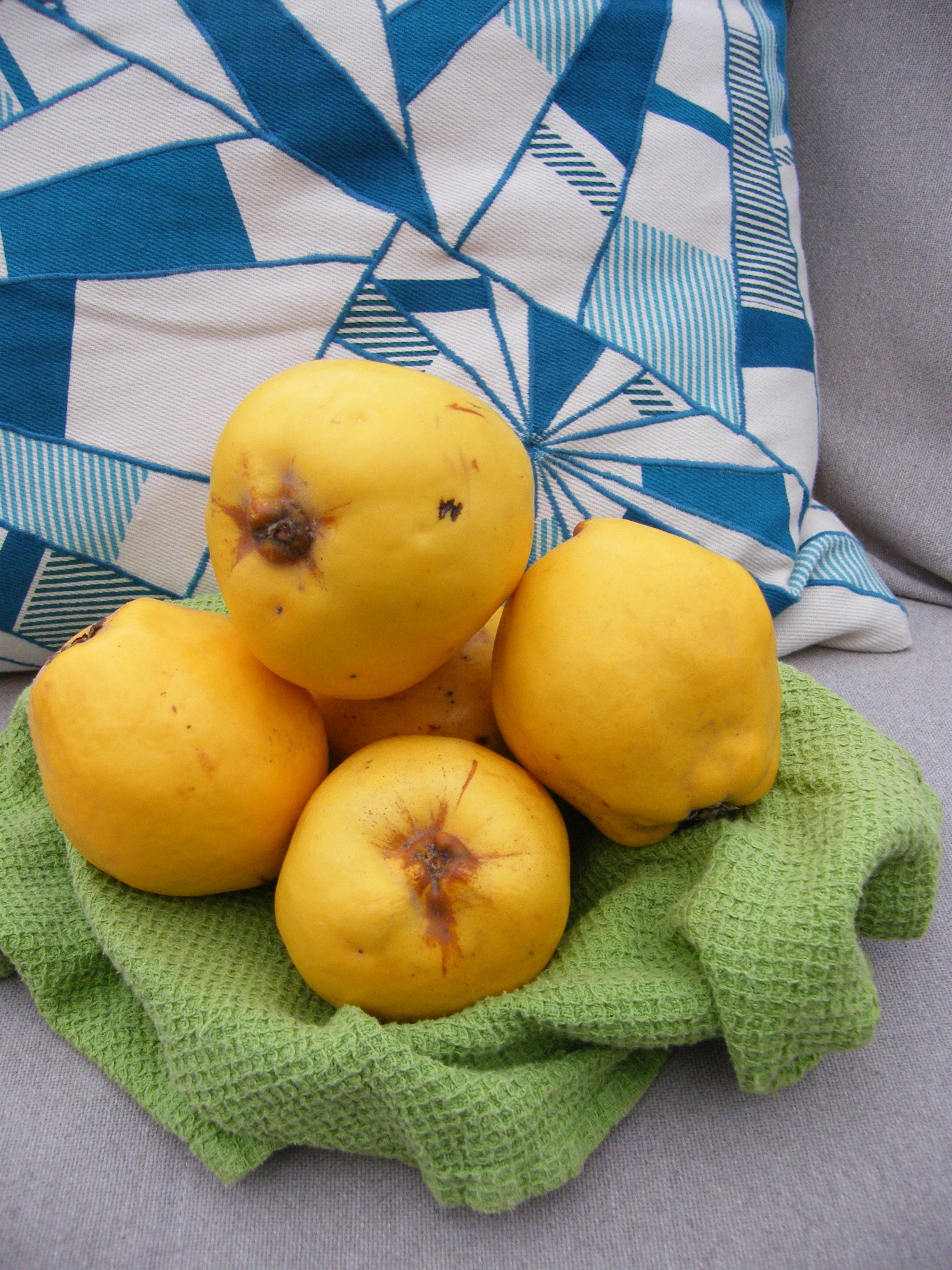 Quince