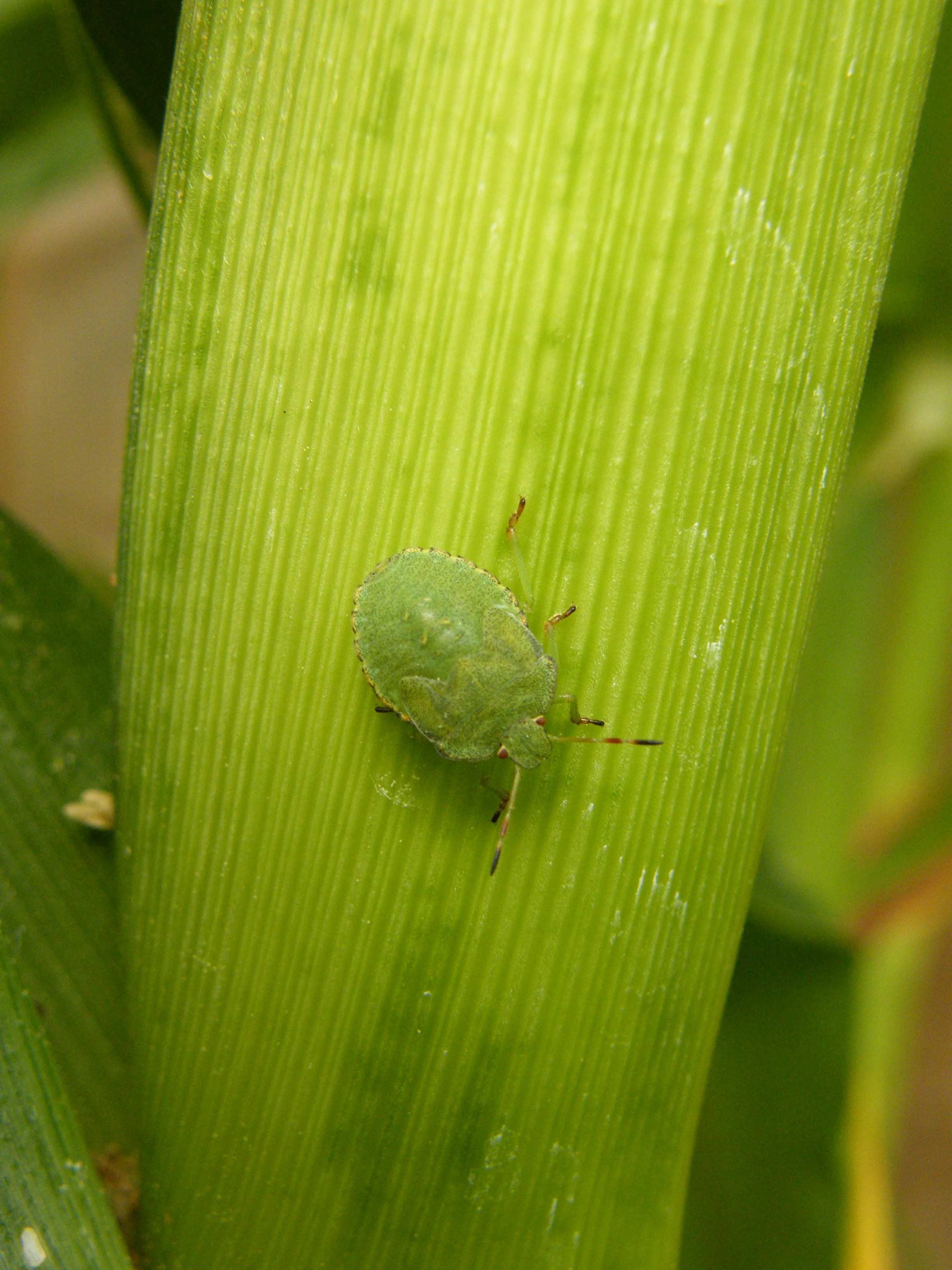 DSCF1178.JPG