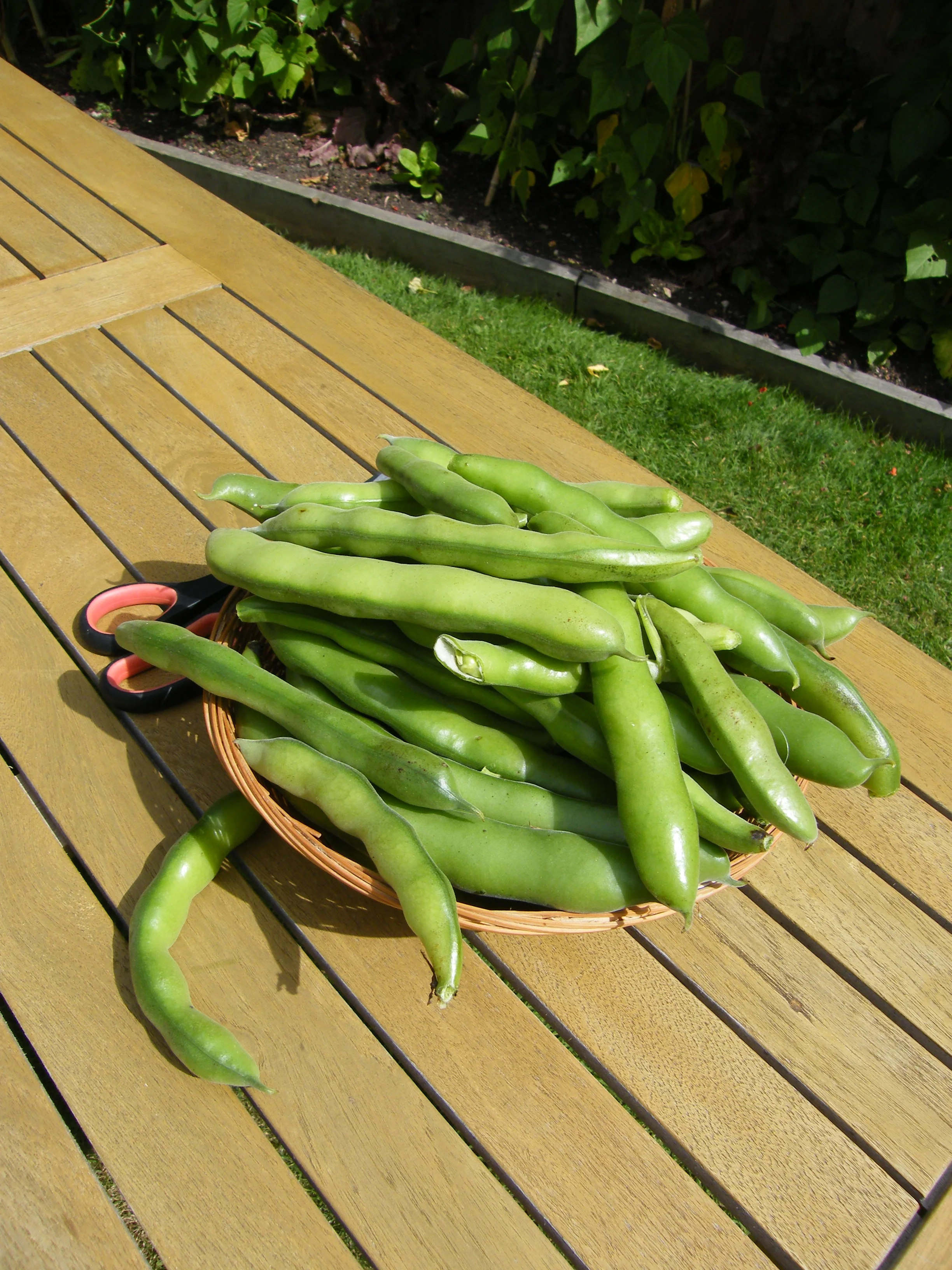 DSCF3287.JPG
