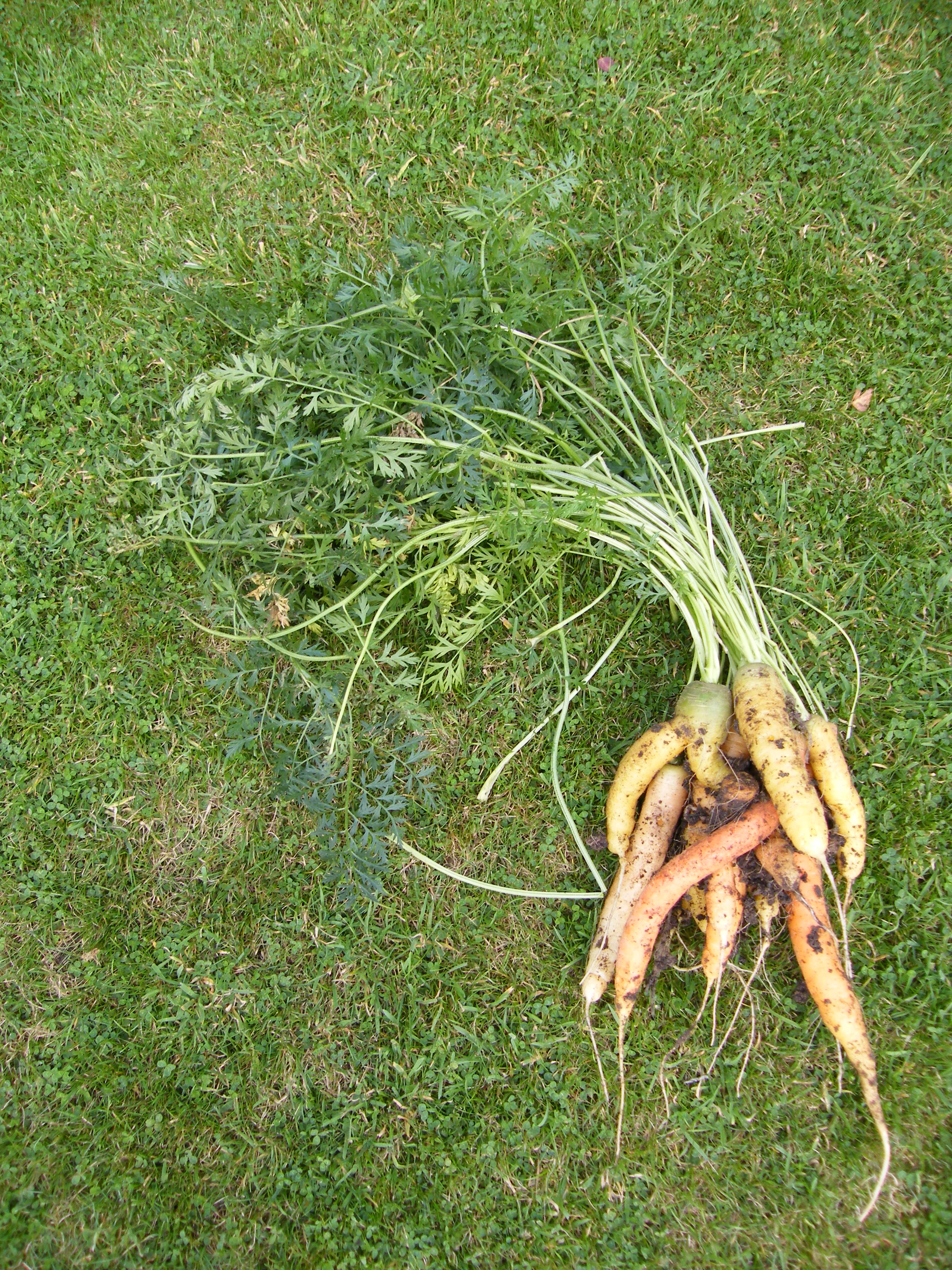 DSCF3432.JPG