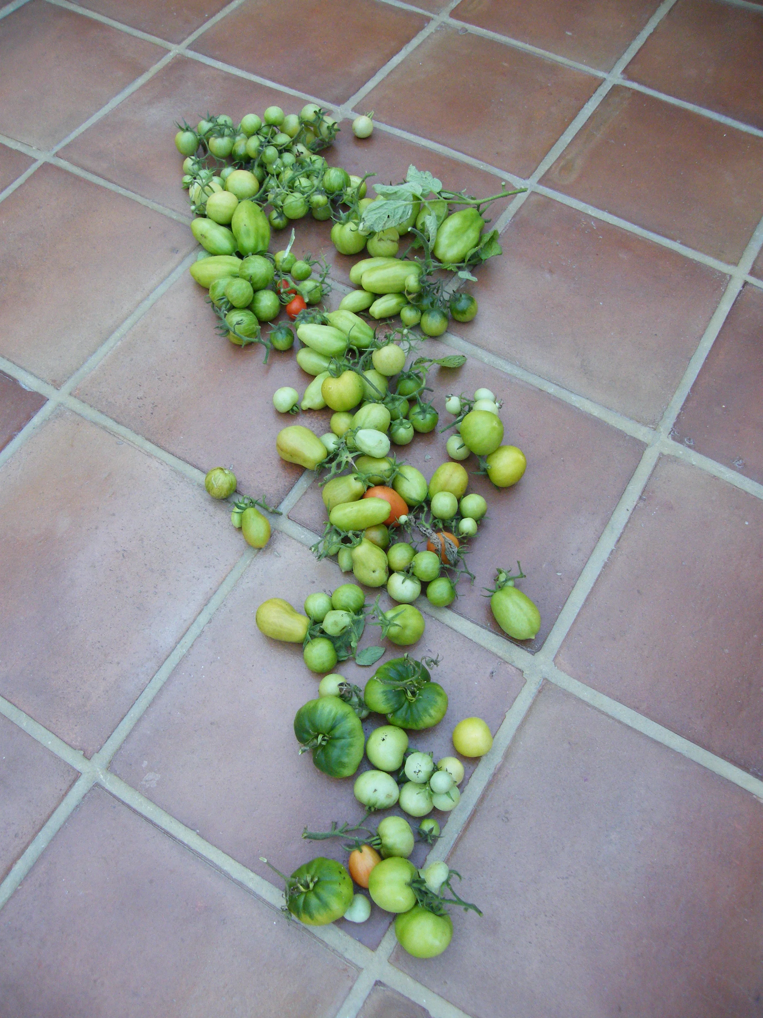 DSCF3781.JPG