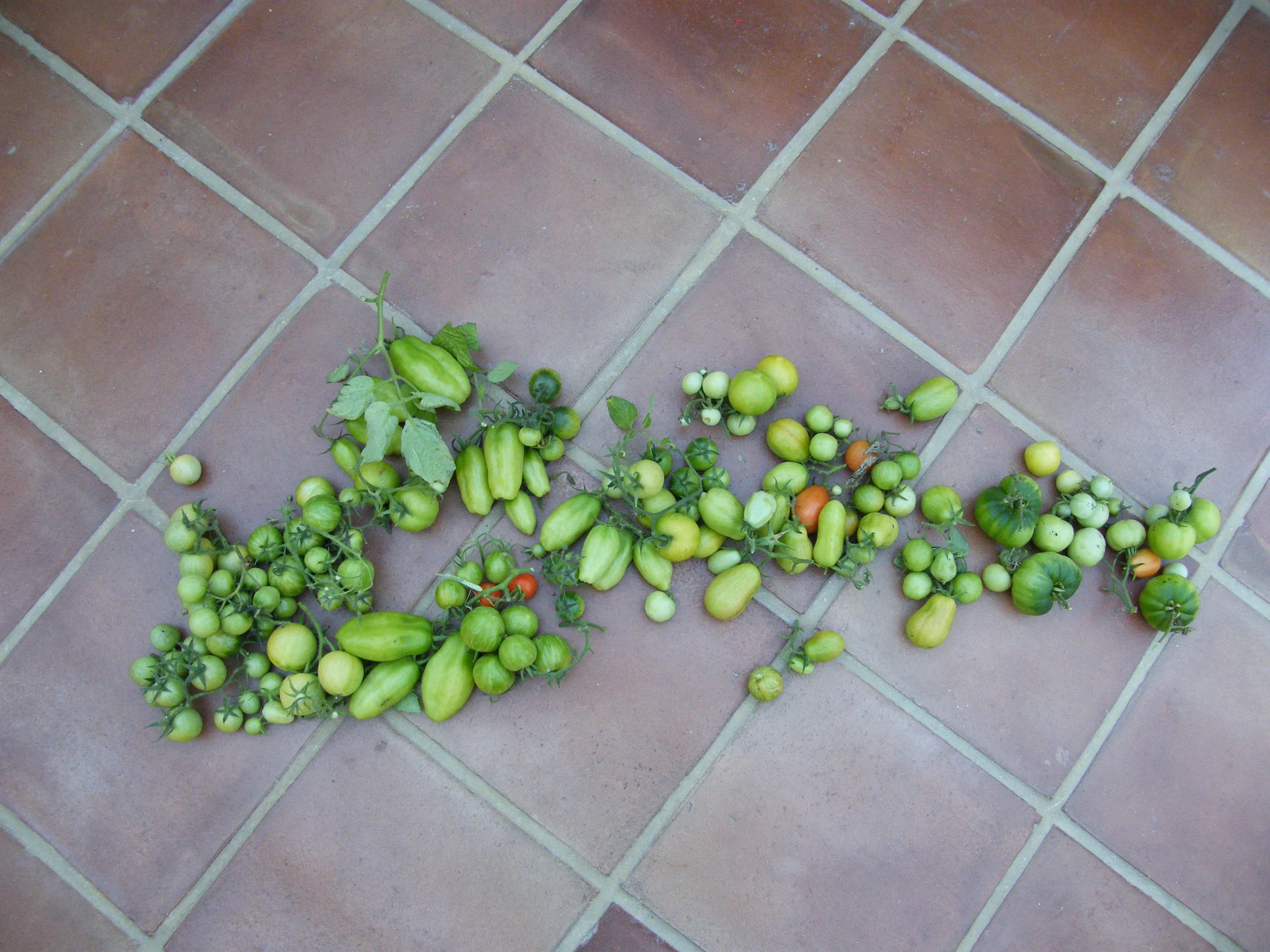 DSCF3784.JPG