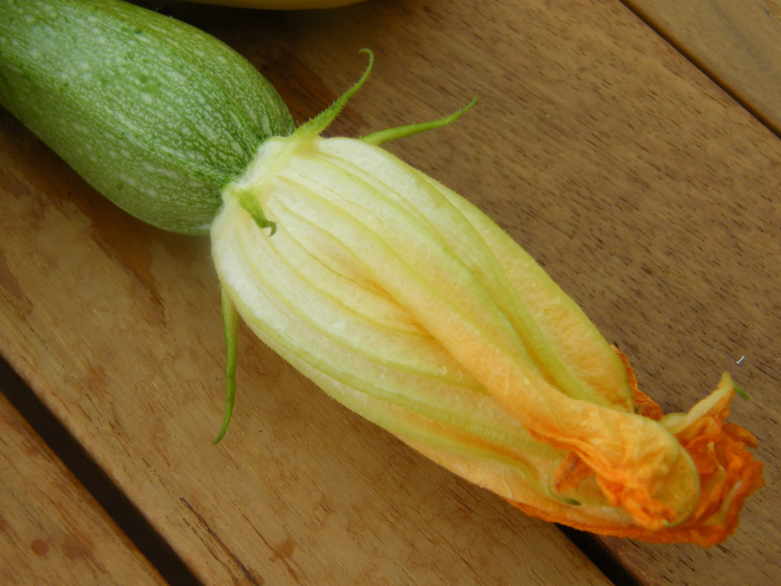 DSCF6149.JPG