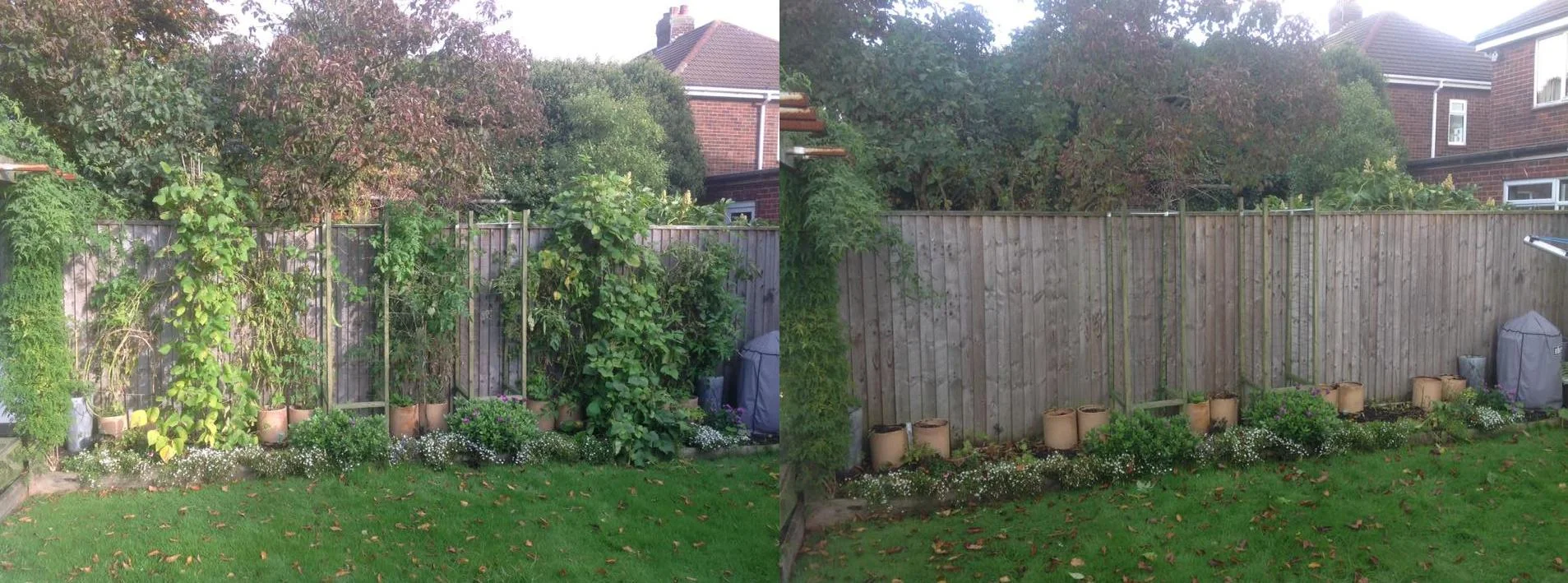 garden clear up 2016.jpg