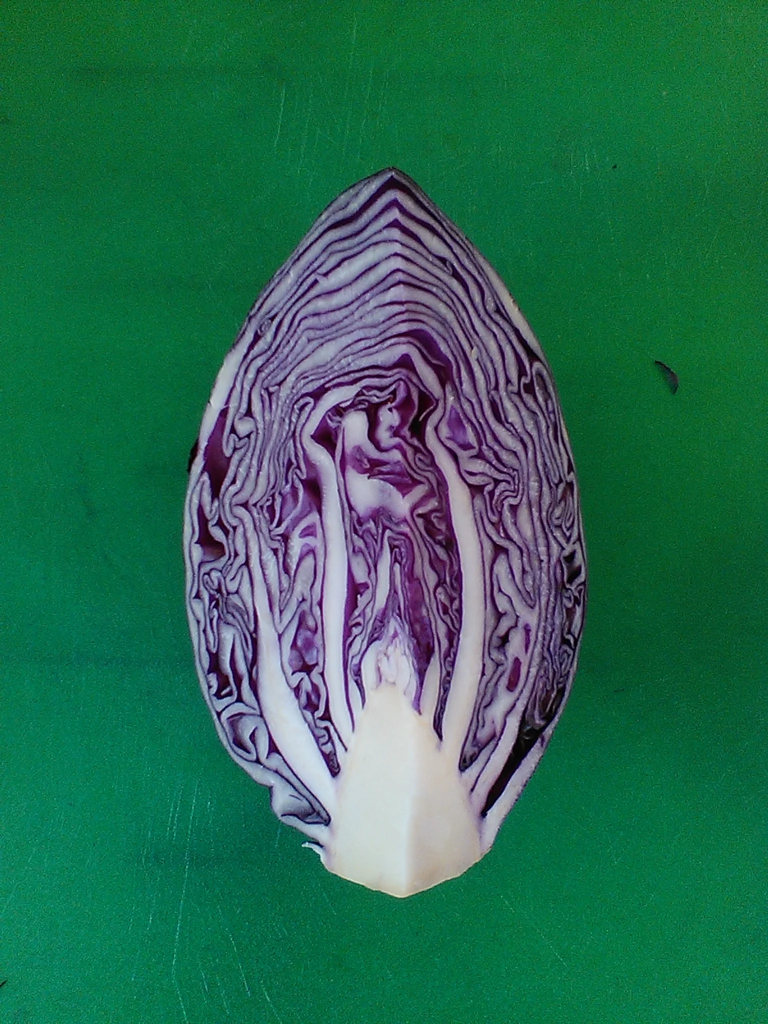 Red Cabbage