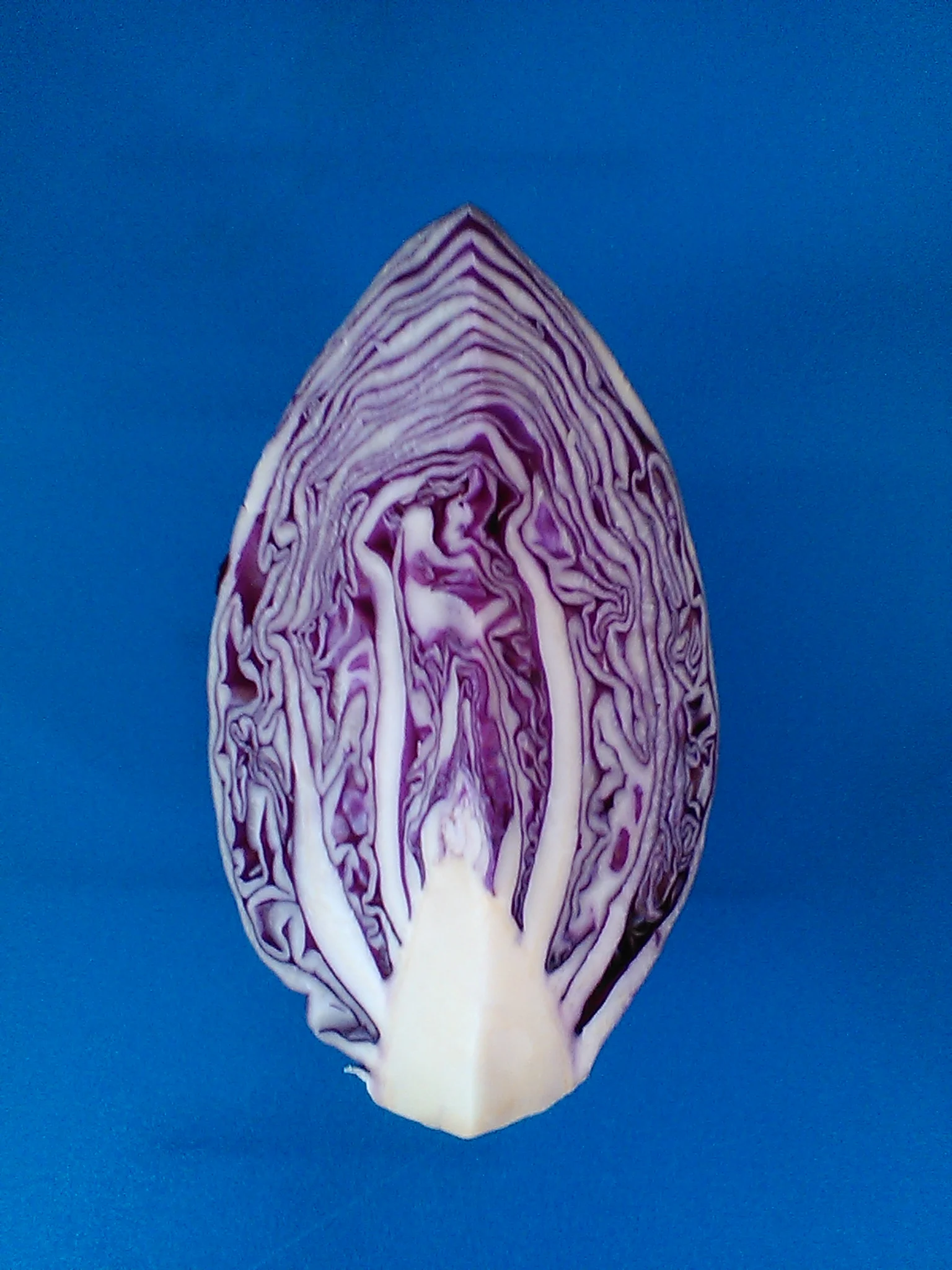 Red Cabbage