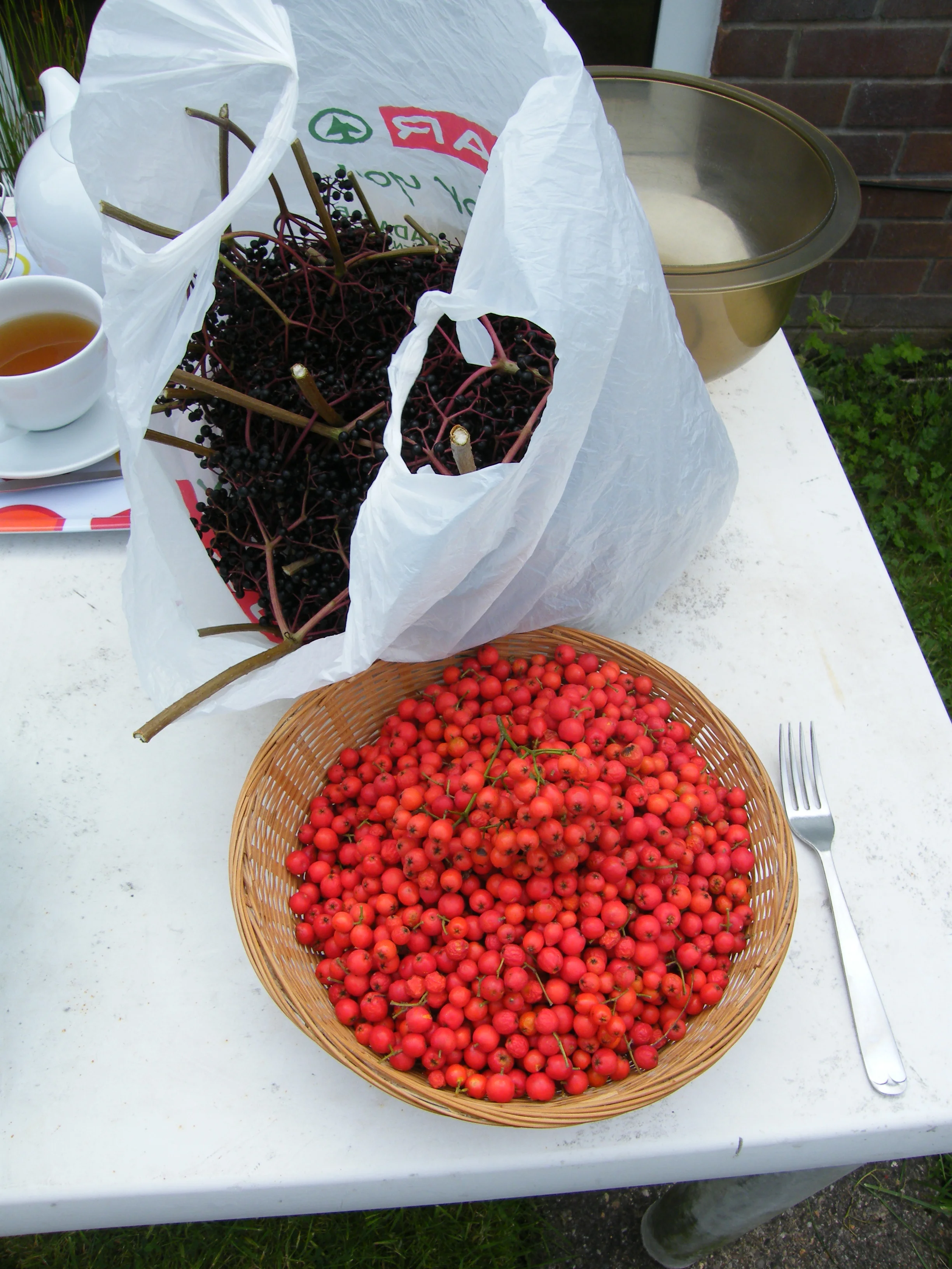 Rowanberries and Elderberries