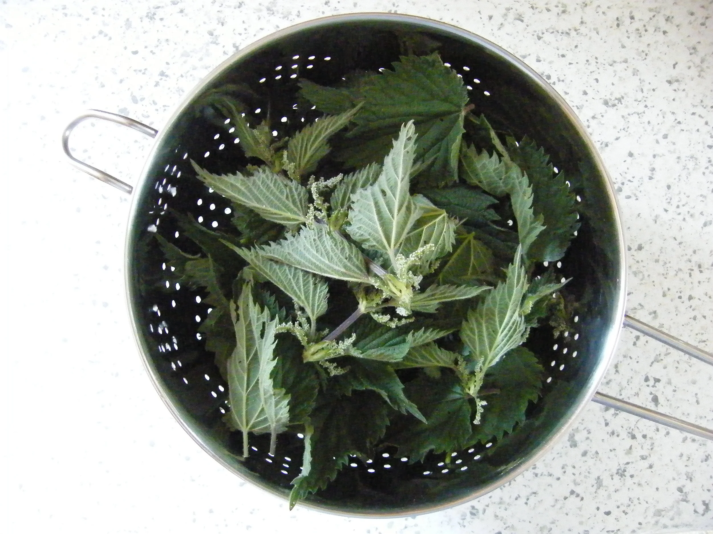 Nettle and Mint Sauce