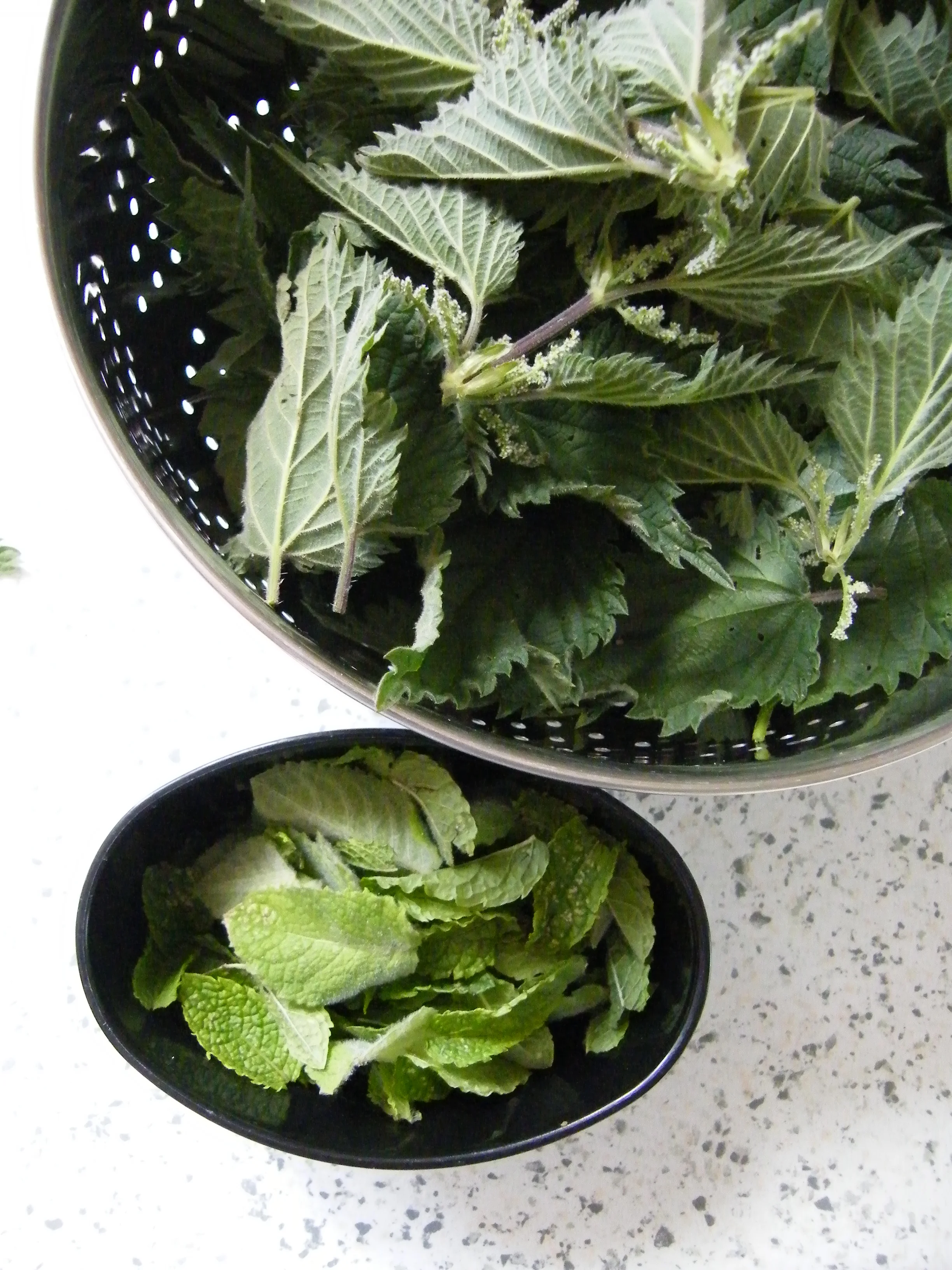 Nettle and Mint Sauce