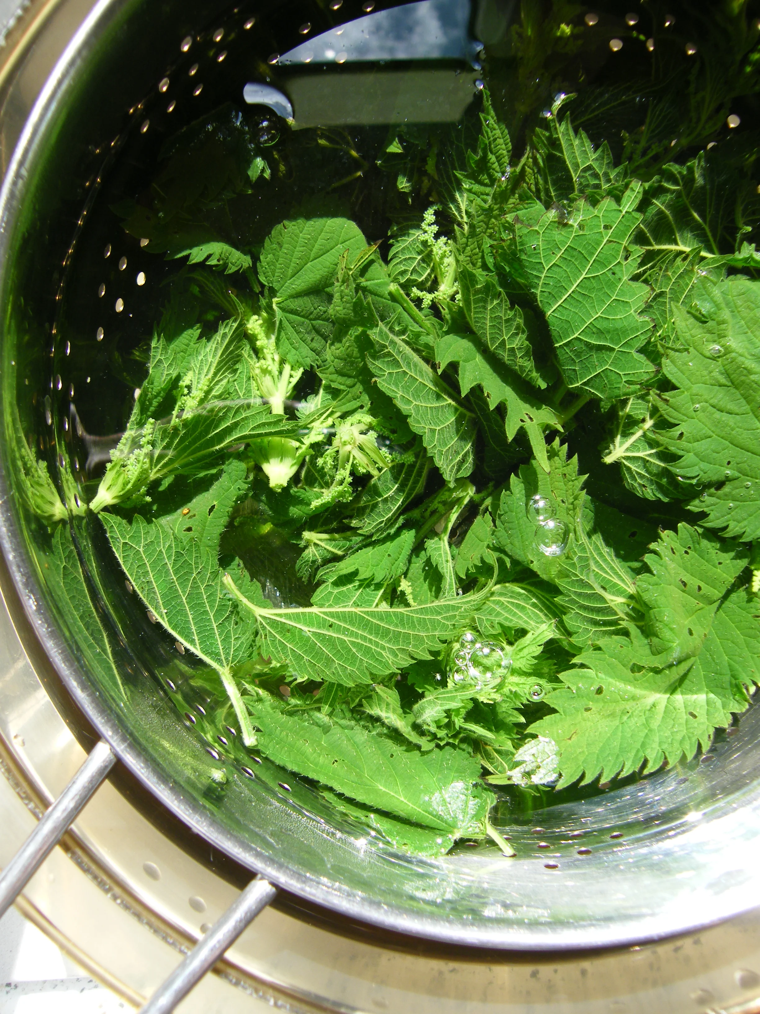Nettle and Mint Sauce