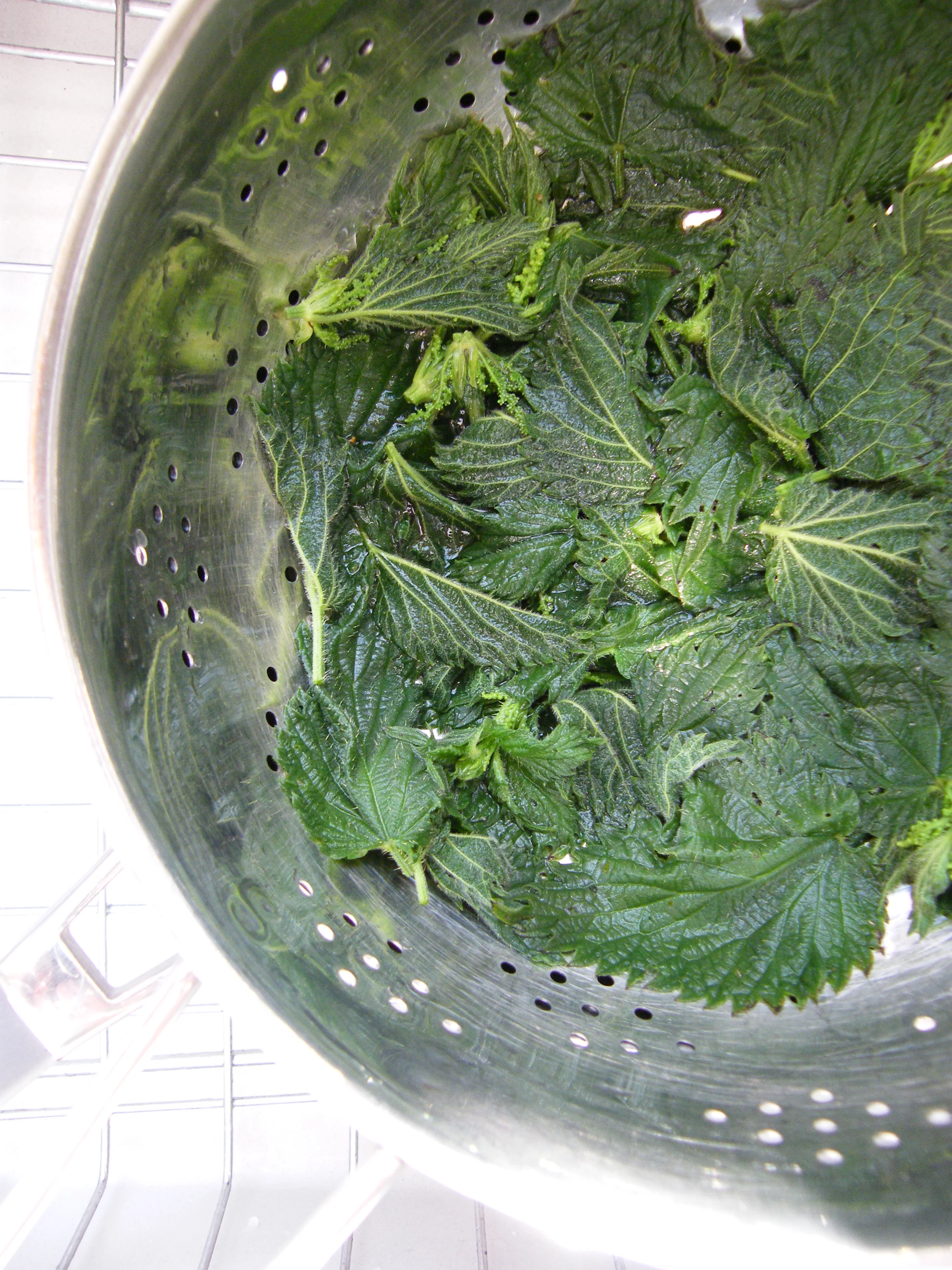 Nettle and Mint Sauce