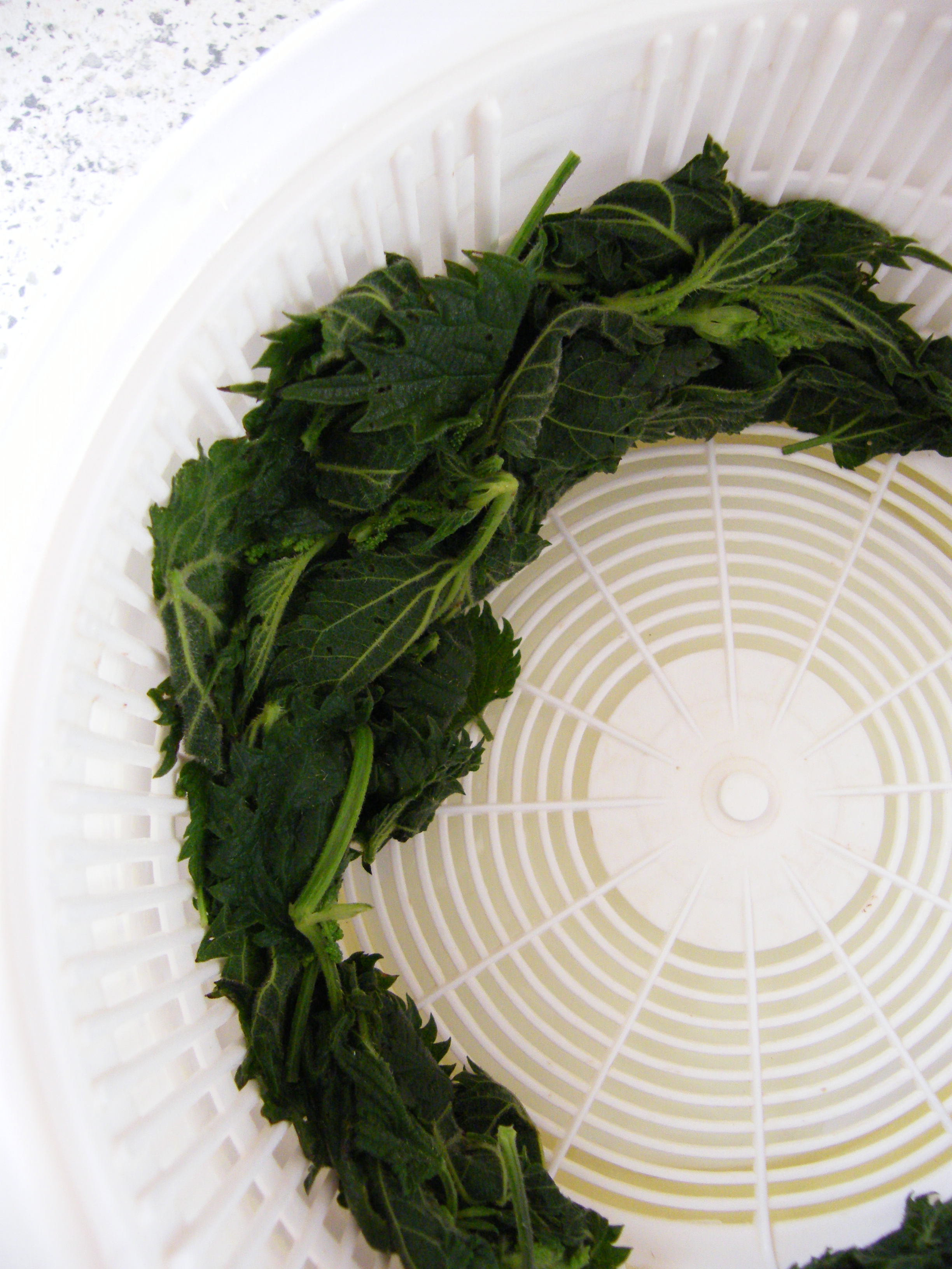 Nettle and Mint Sauce