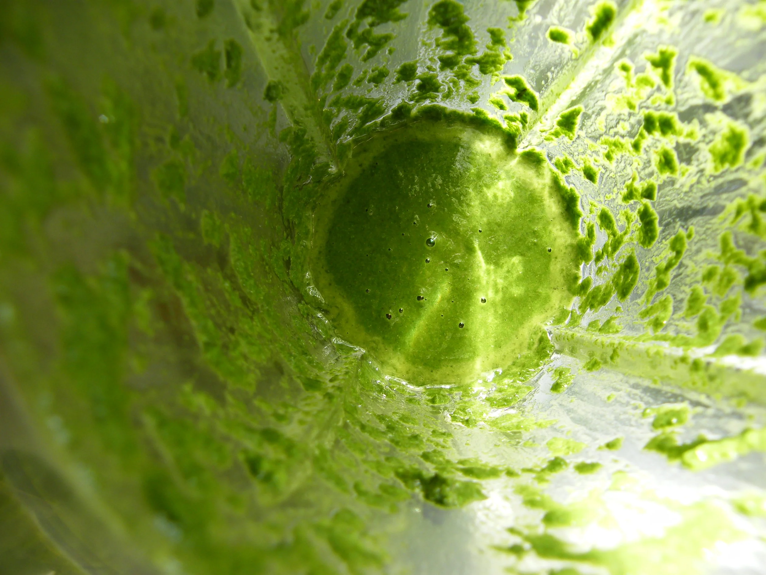 Nettle and Mint Sauce