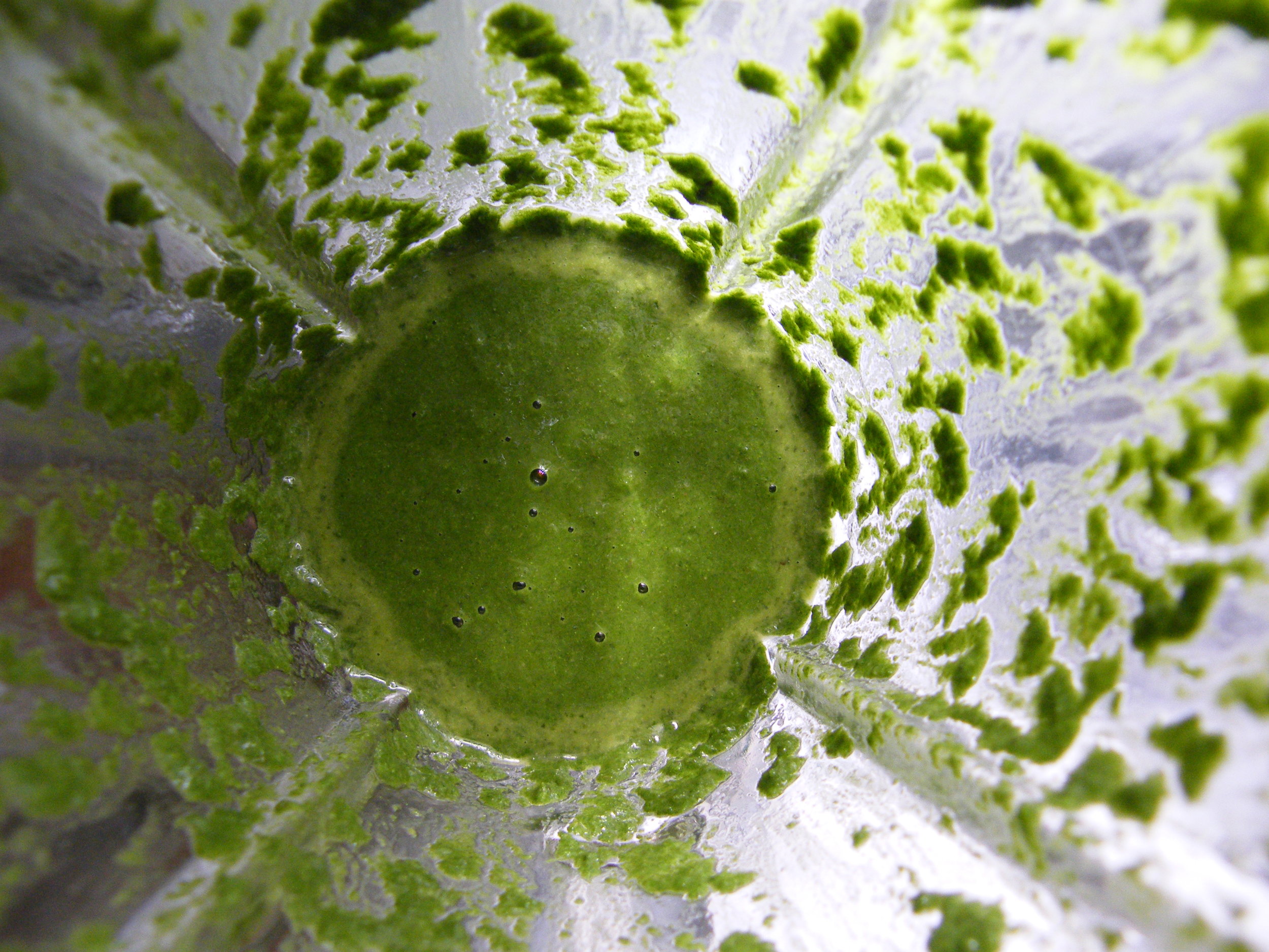 Nettle and Mint Sauce