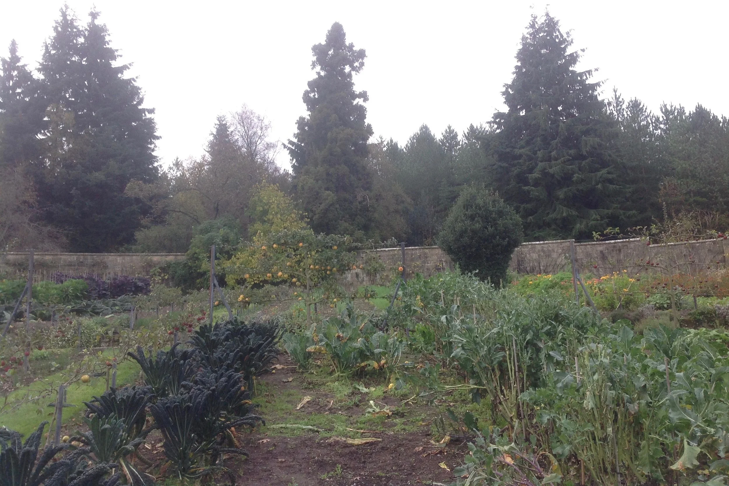 Gravetye Manor - The Walled Garden