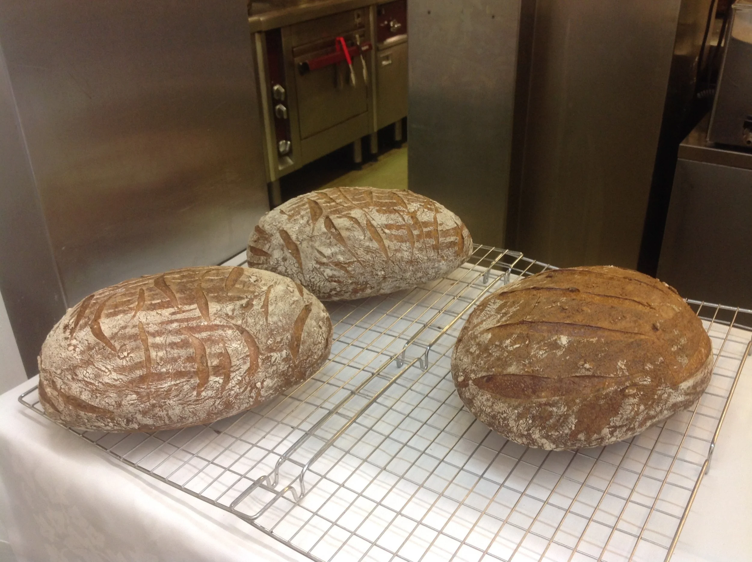 Sourdough