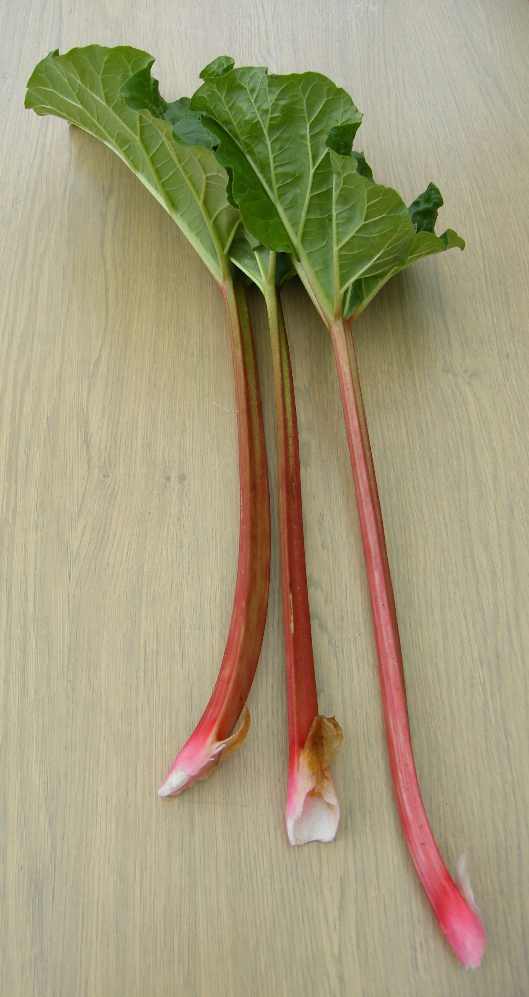DSCF2899.jpg