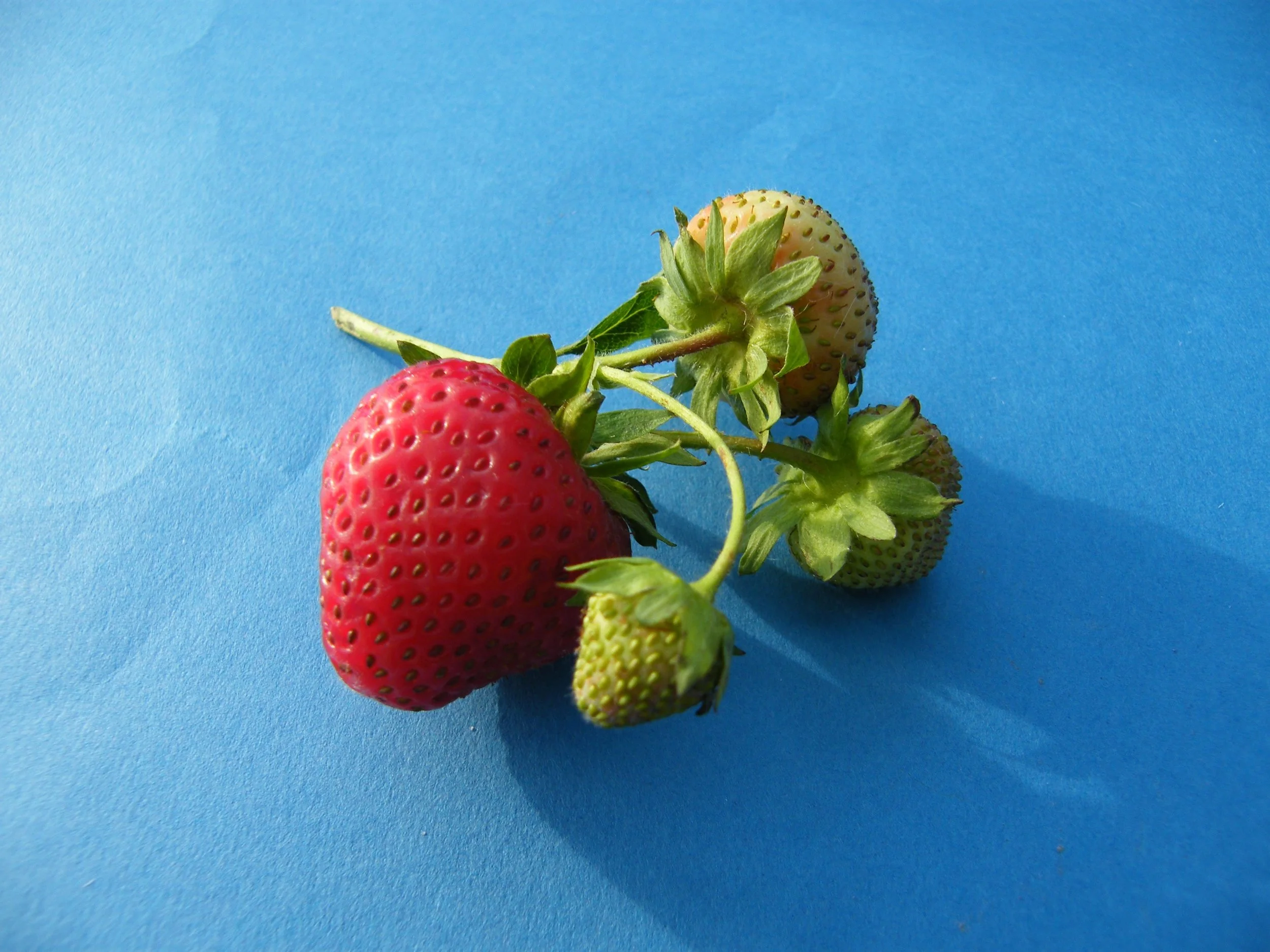 DSCF3258.jpg