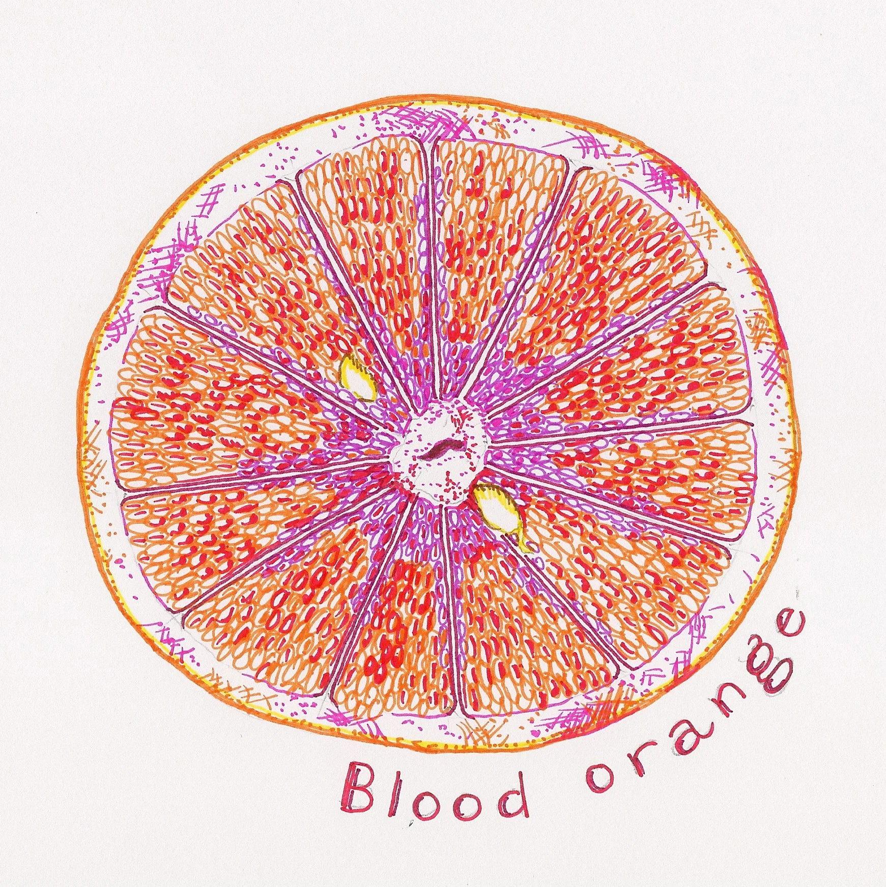 Blood.jpg