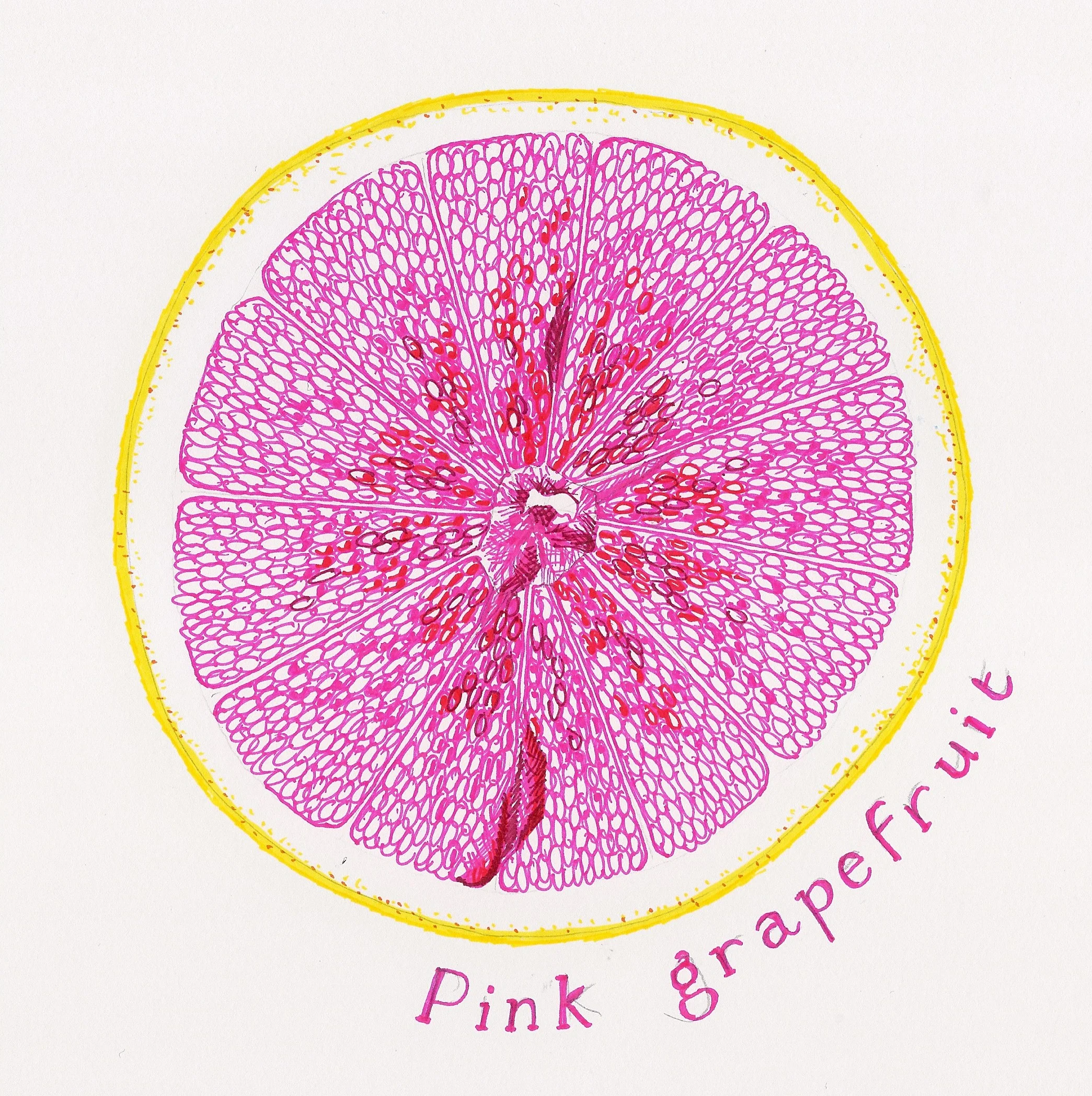 Pink.jpg