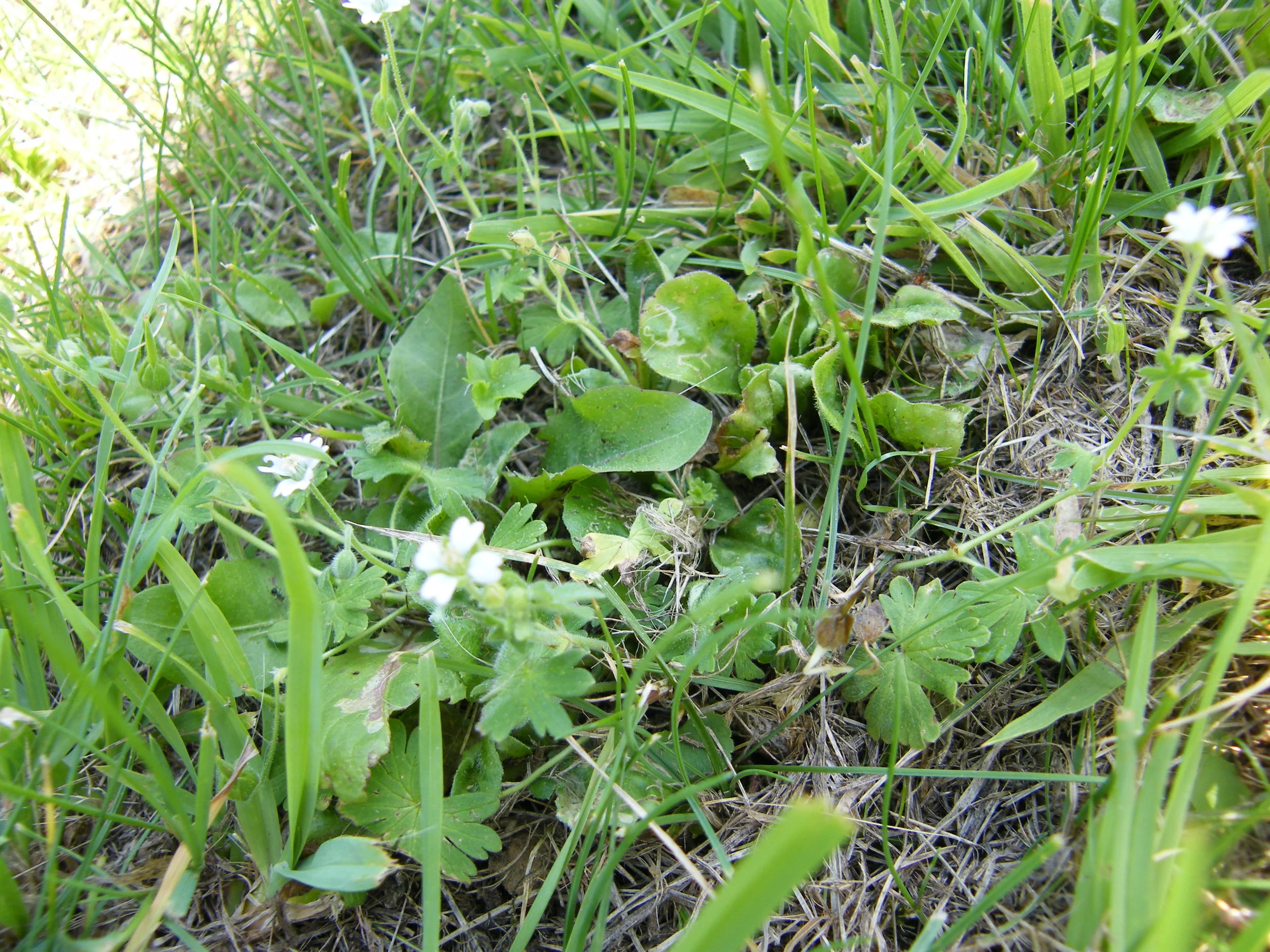 DSCF4043.jpg