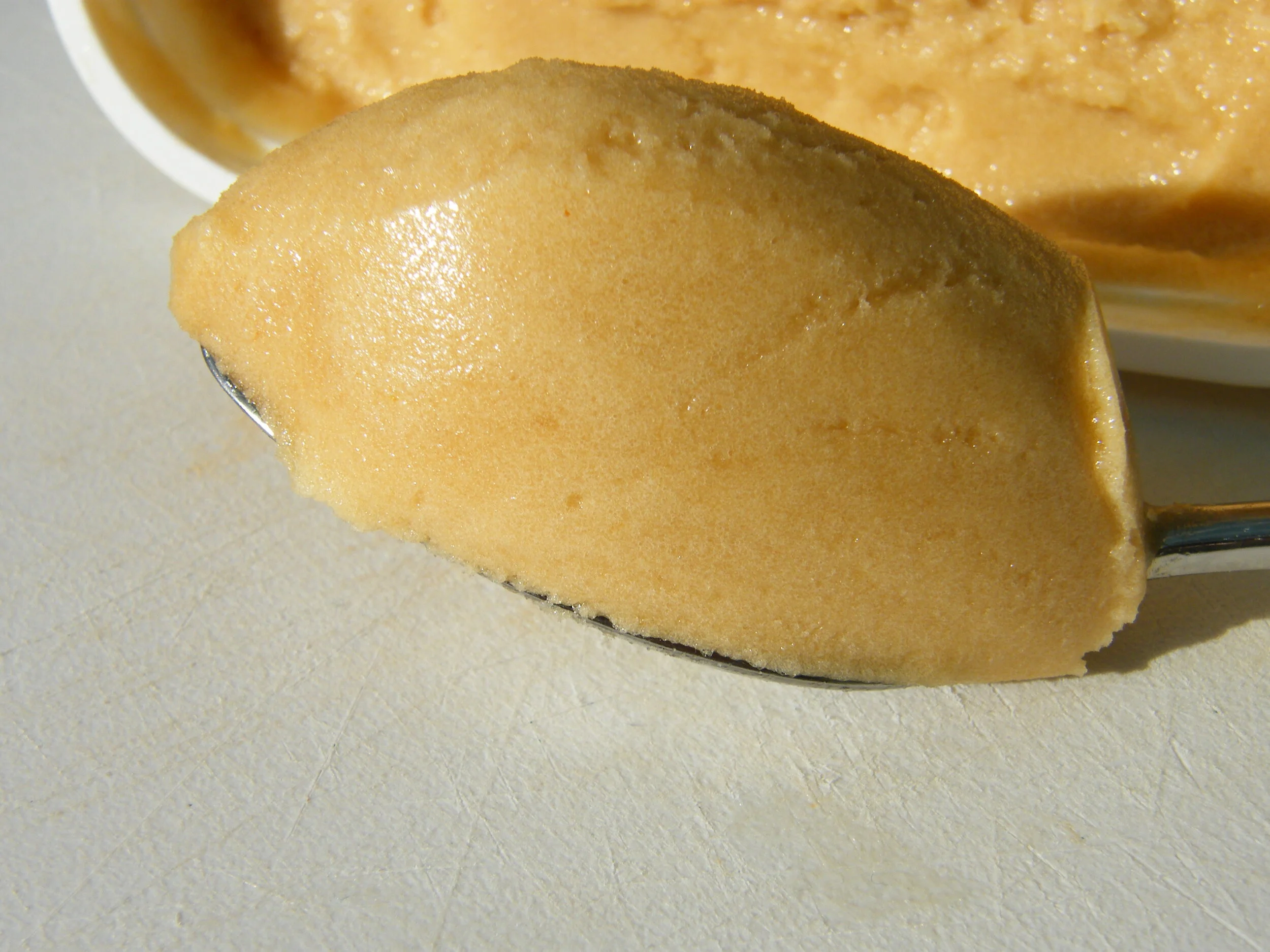 DSCF2626.jpg