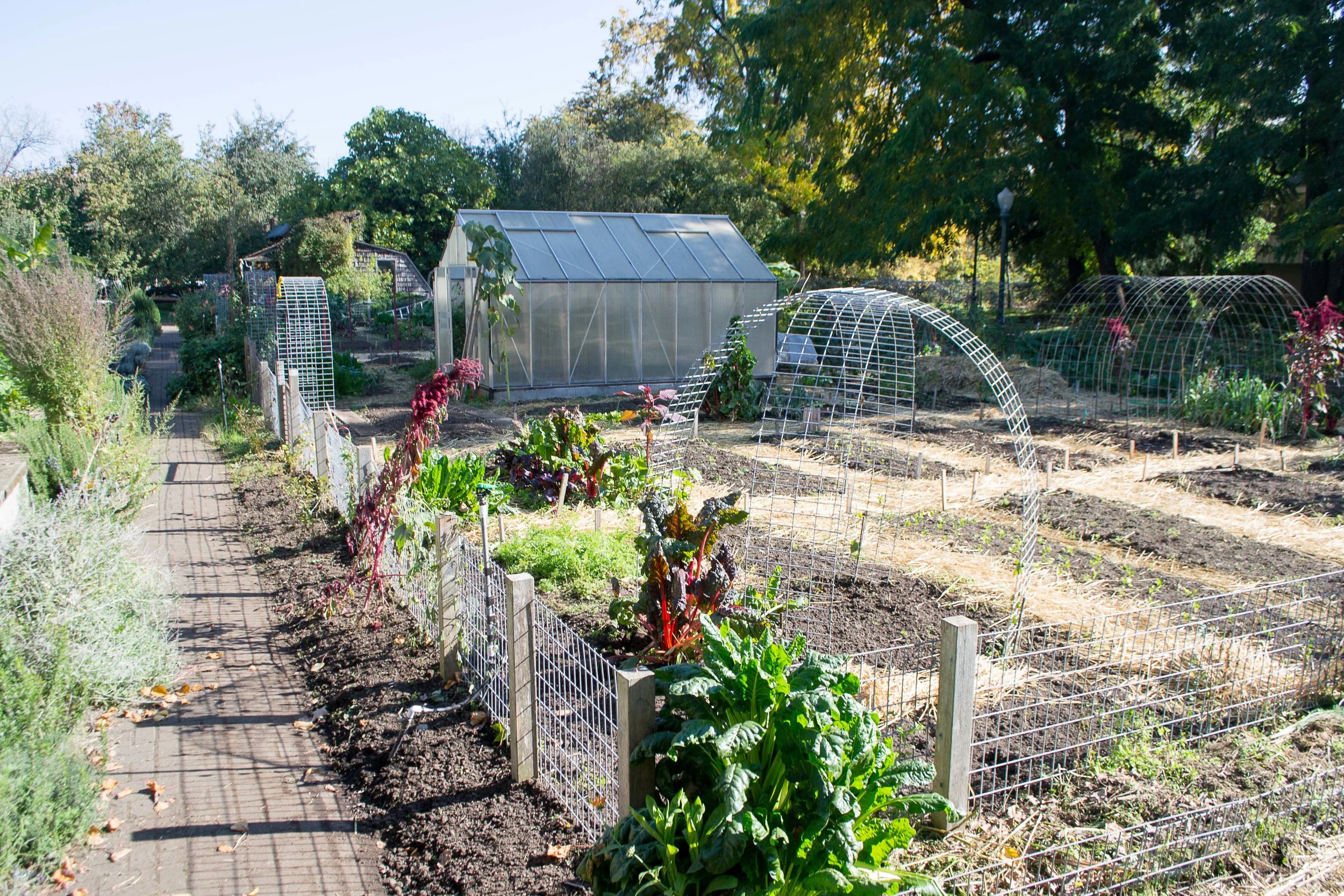 PLANT/FARM/GARDEN SERVICES