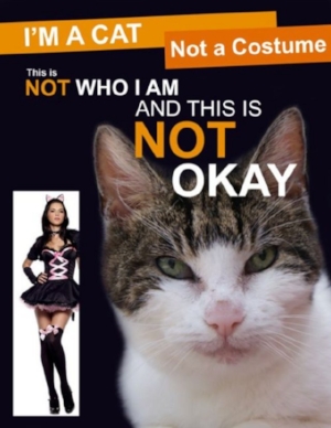 Photo via Pinterest.Com (Also a Joke, Don't Flip Out.)