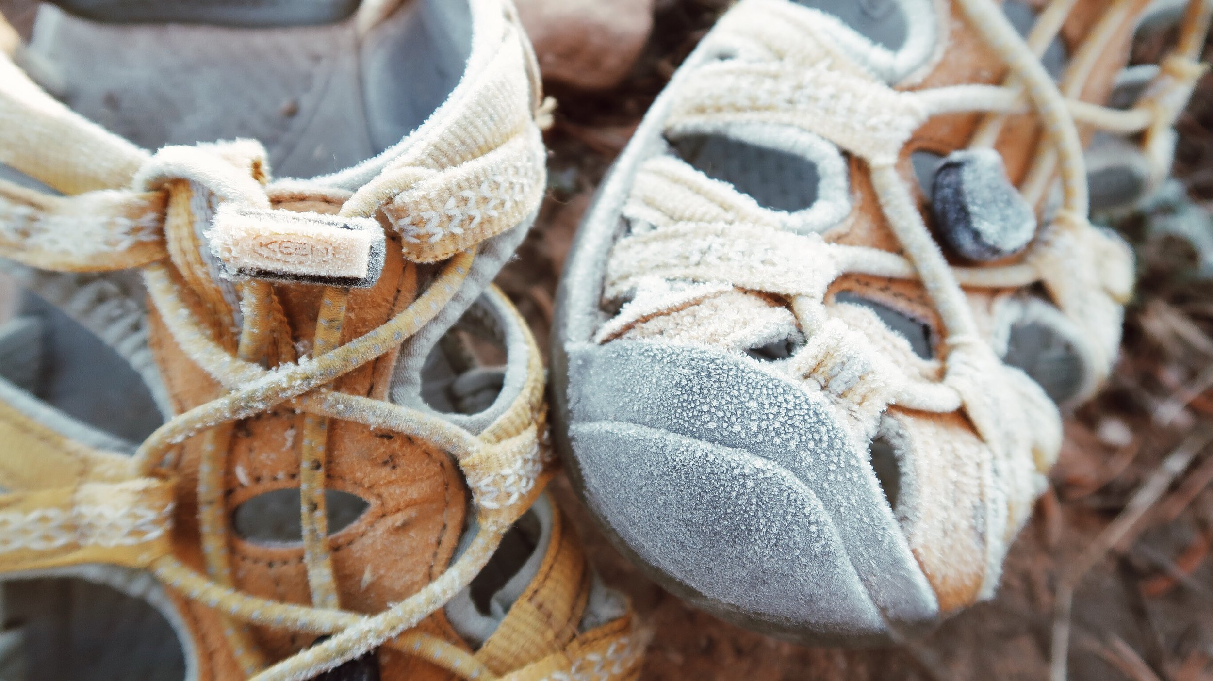Overnight, temperatures got to a low of 27 degrees, a perfect recipe for frost covered shoes!