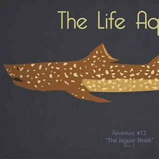 Hey! I need help constructing a 6-10ft. Jaguar shark. #summerofbillchs #thelifeaquatic #wesanderson
