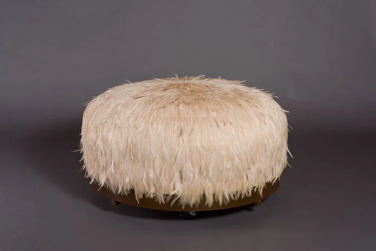 FEATHER CARRIER, 2017