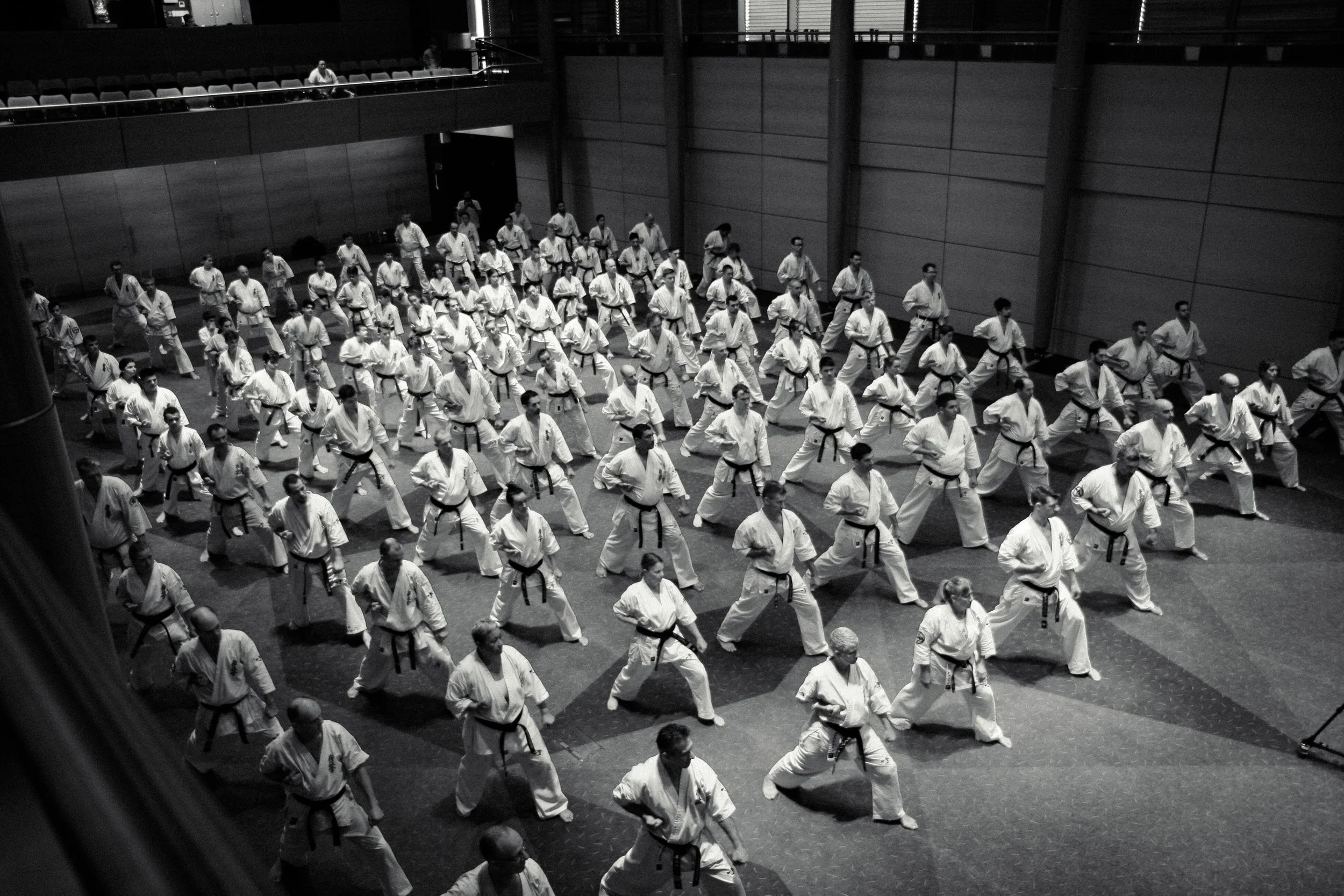 Kancho Matsui Intensive Training.jpeg