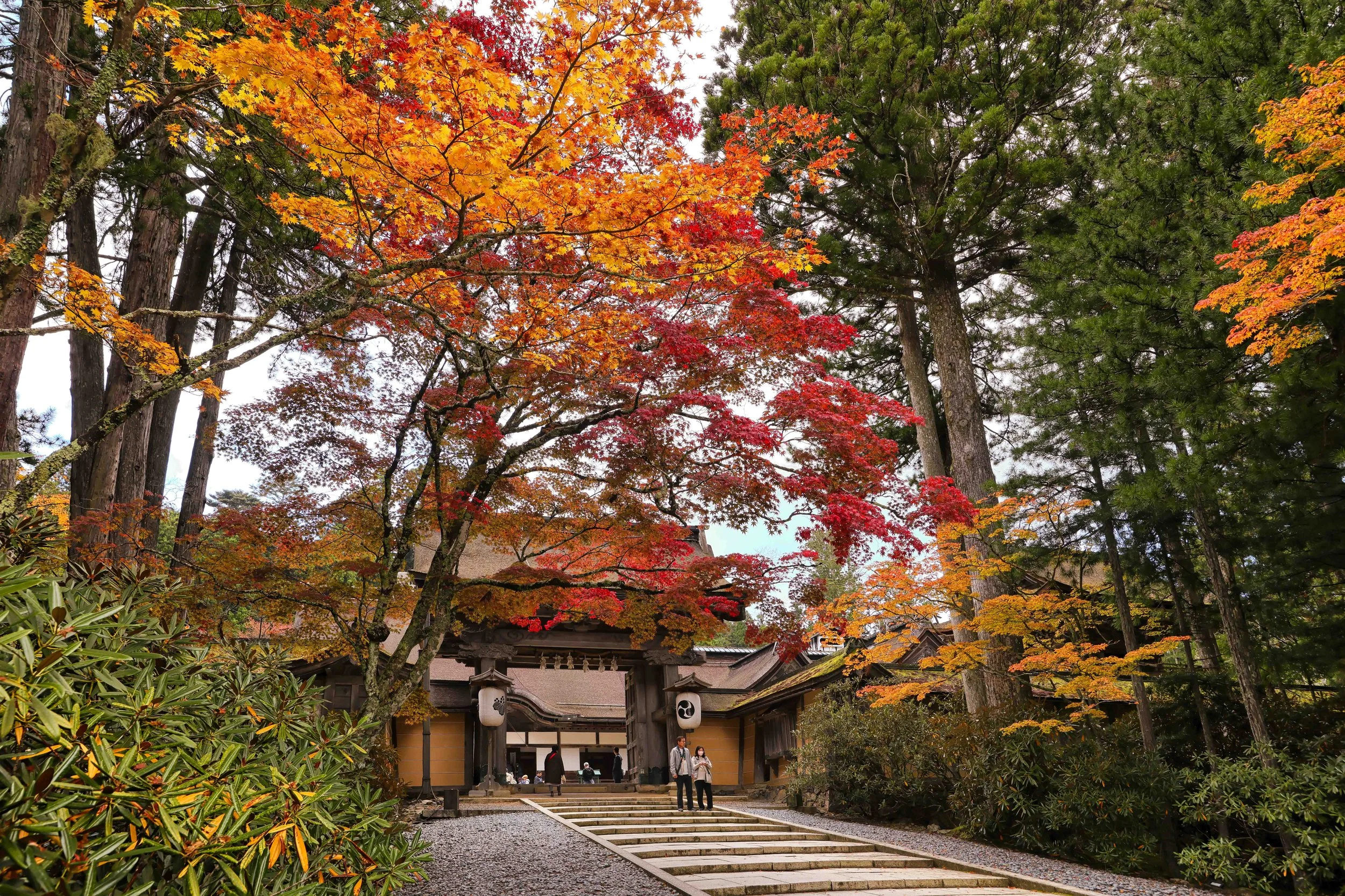 Buddhism — Josh Ellis Photography Blog — Josh Ellis Photography