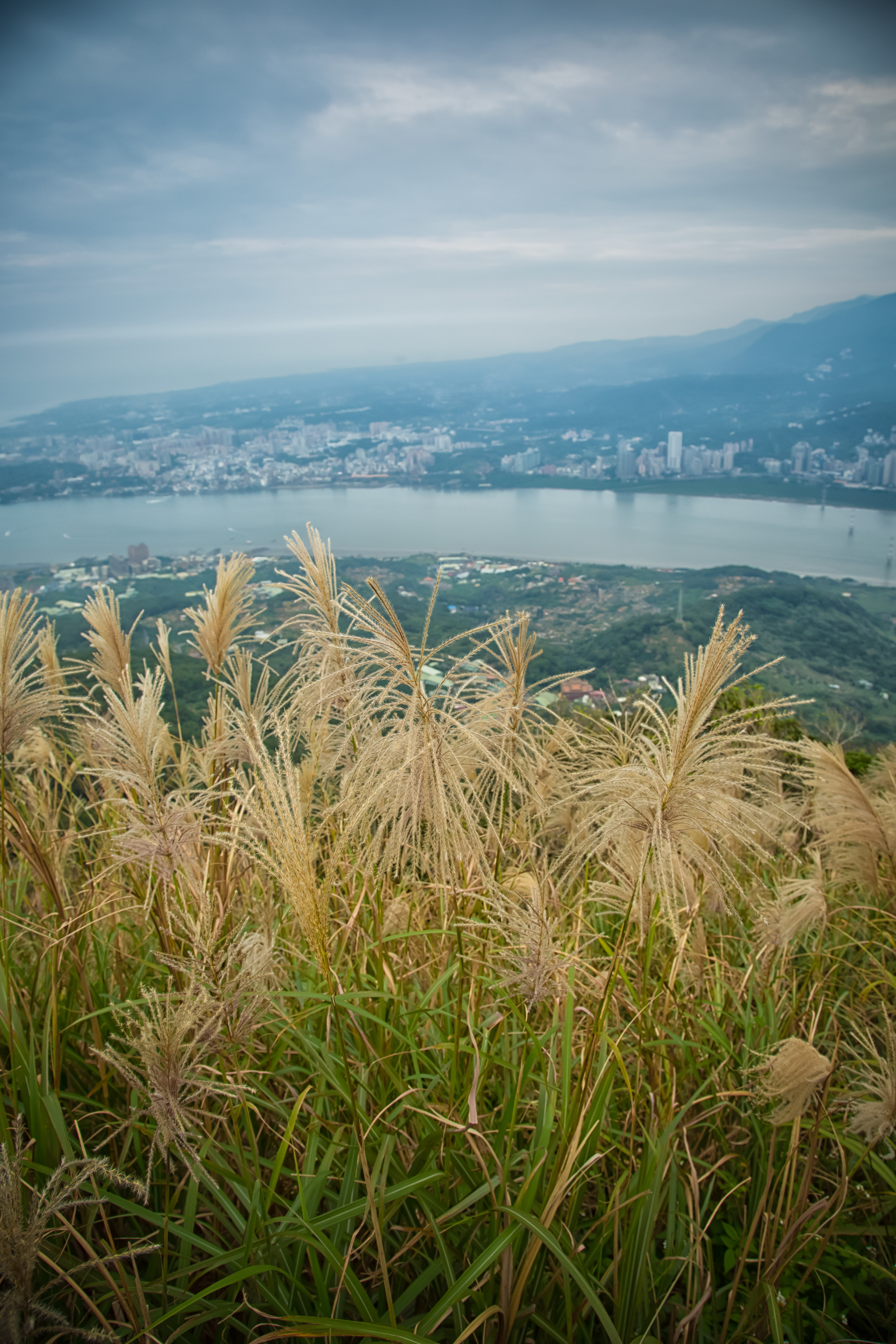 GTJ-2014-1108-13.jpg