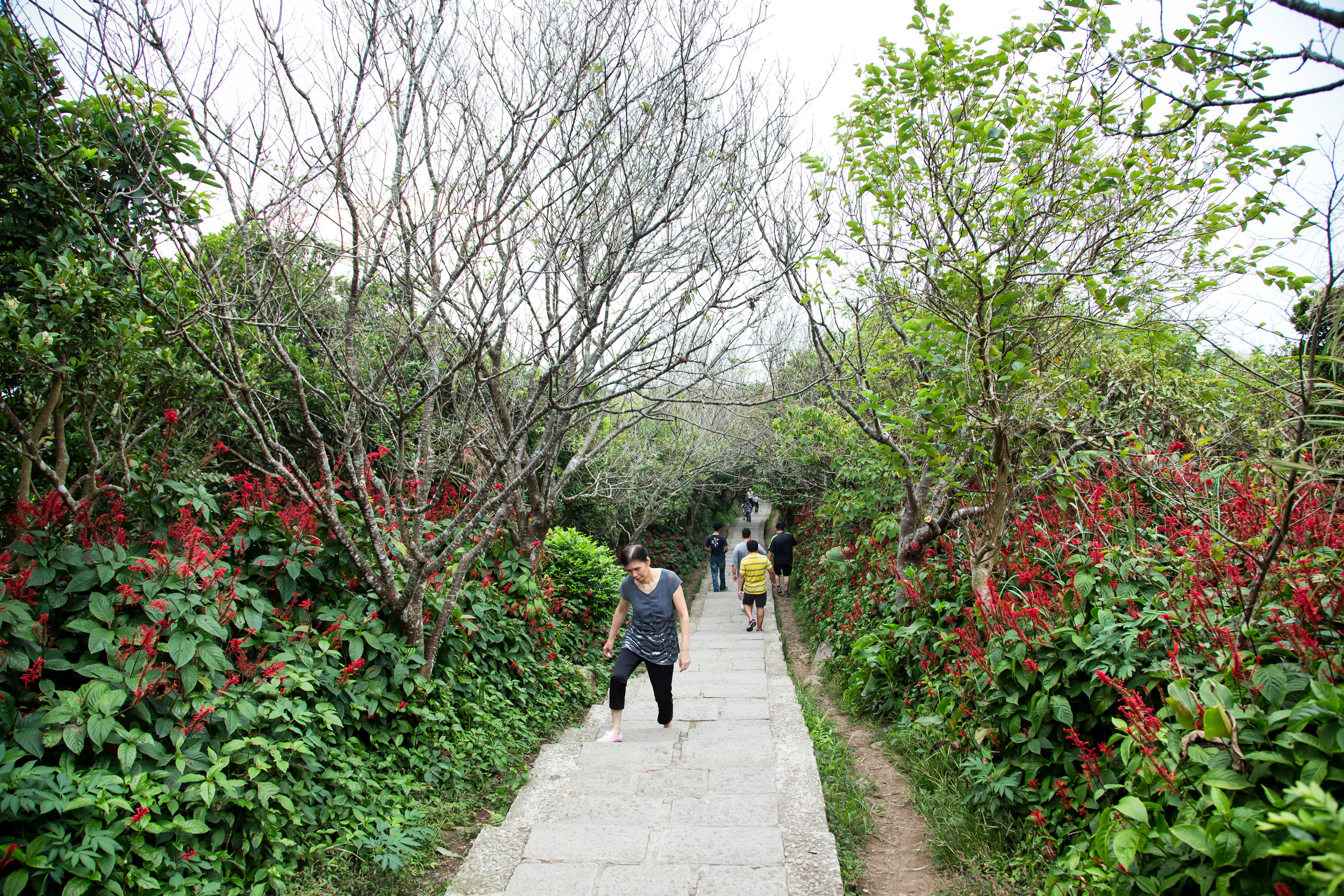 GTJ-2014-1108-15.jpg