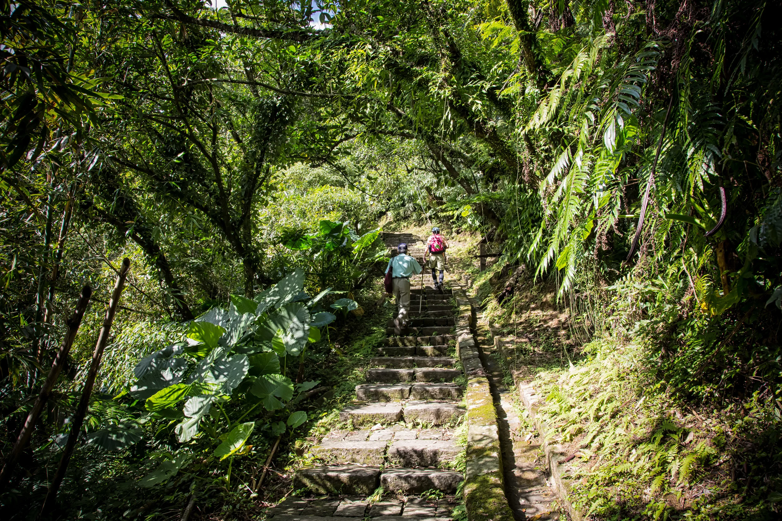 - Hikers on the stairs at the beginning of the hike. 