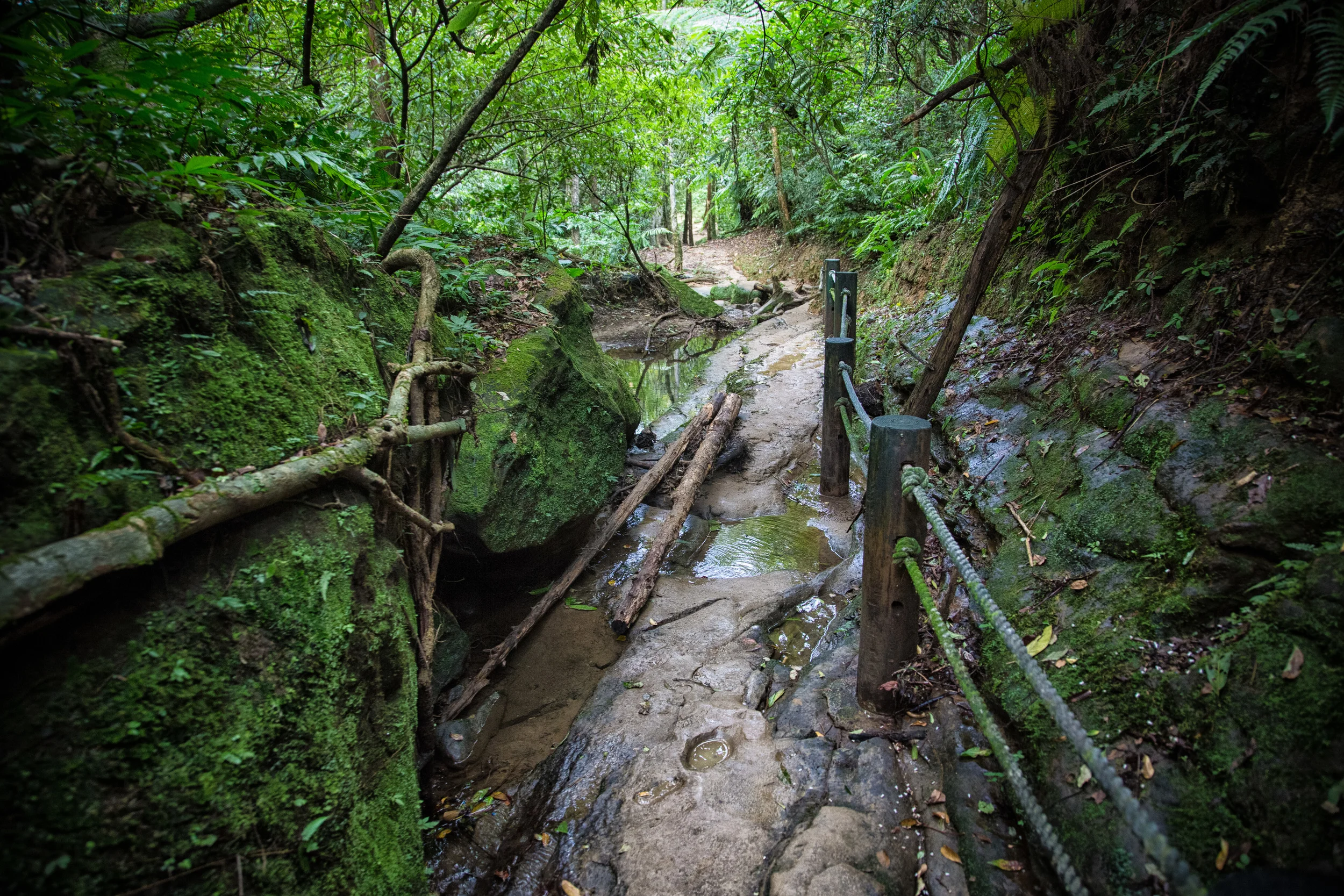 - The path on a dry day