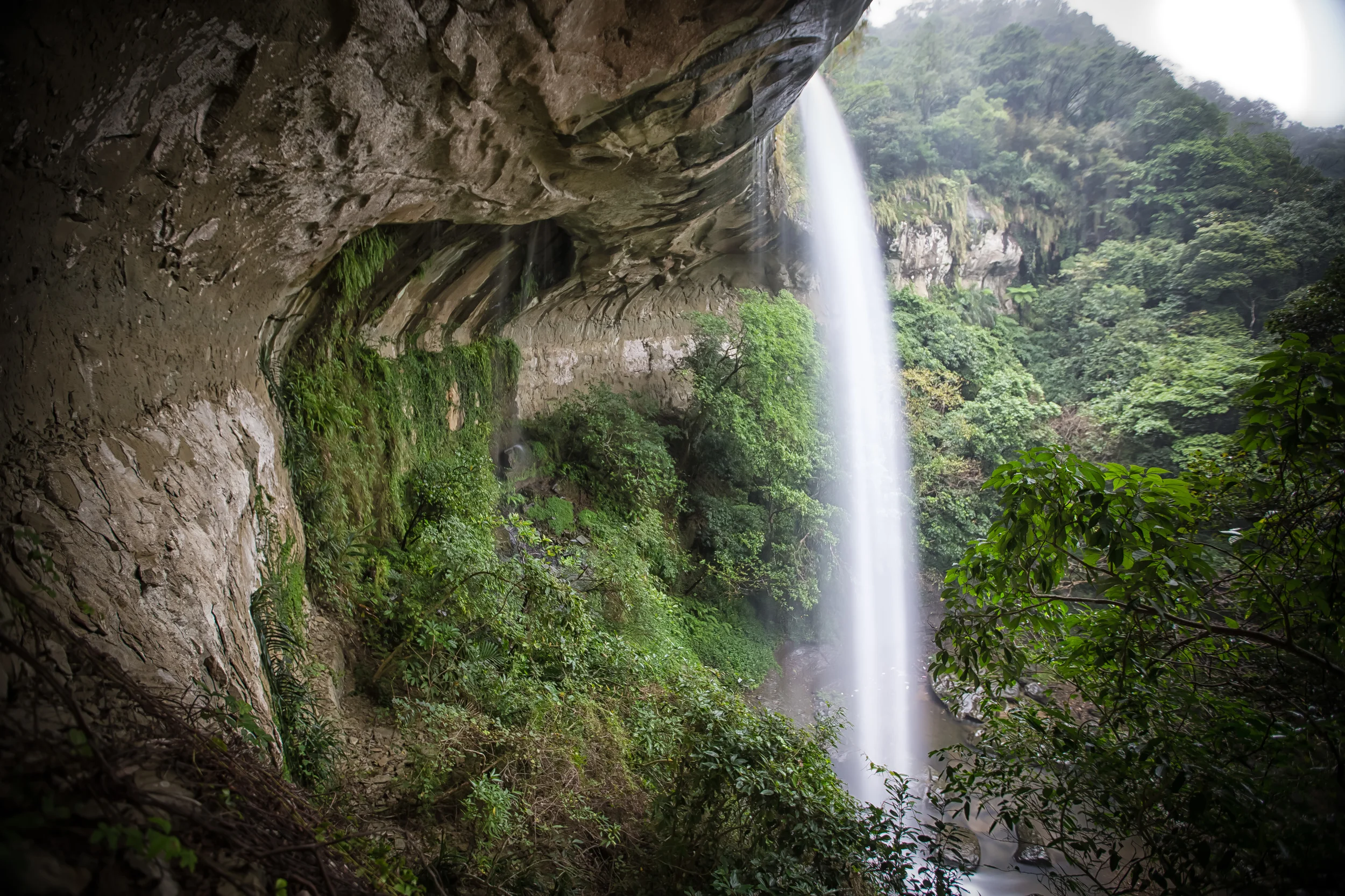 GTJ-2014-1123-15.jpg