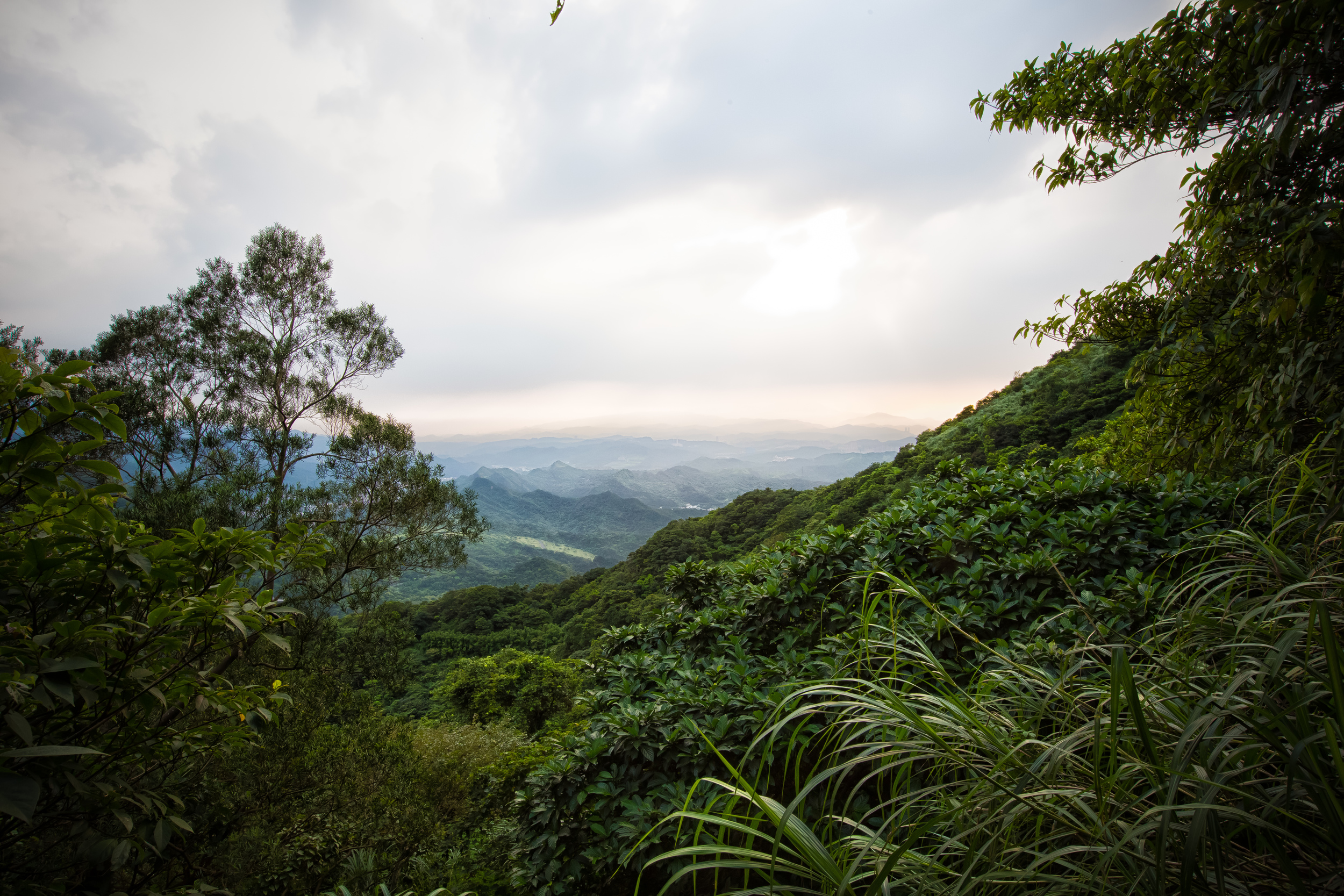 GTJ-2014-0709-24.jpg