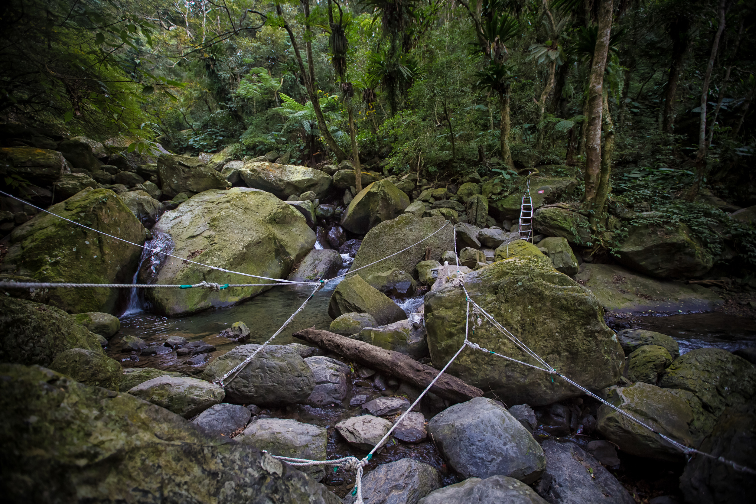 GTJ-2015-0103-15.jpg