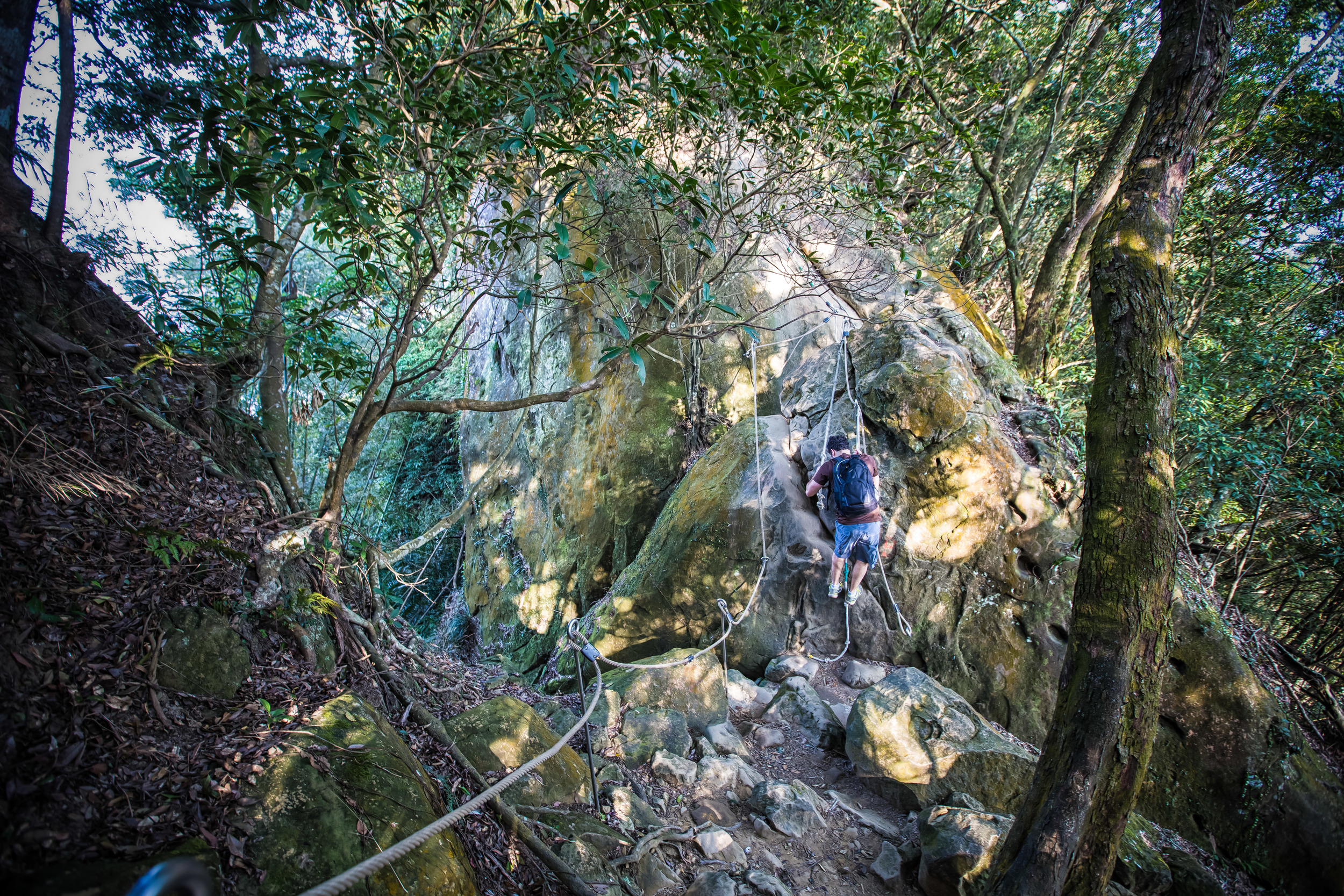 GTJ-2015-0104-4.jpg