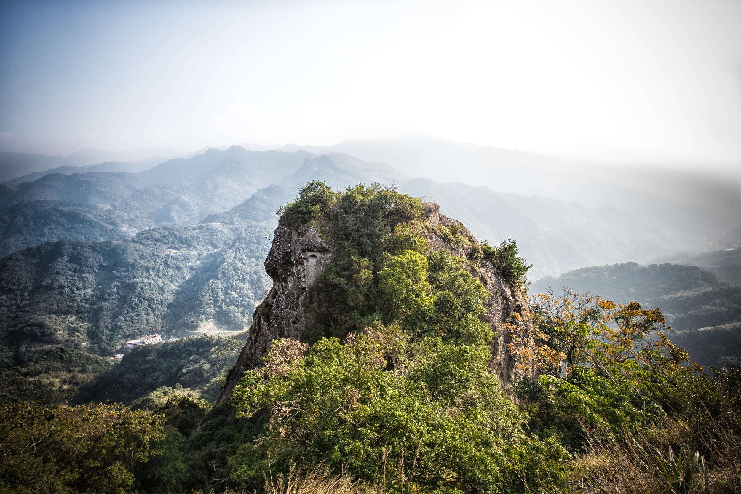 GTJ-2015-0104-11.jpg