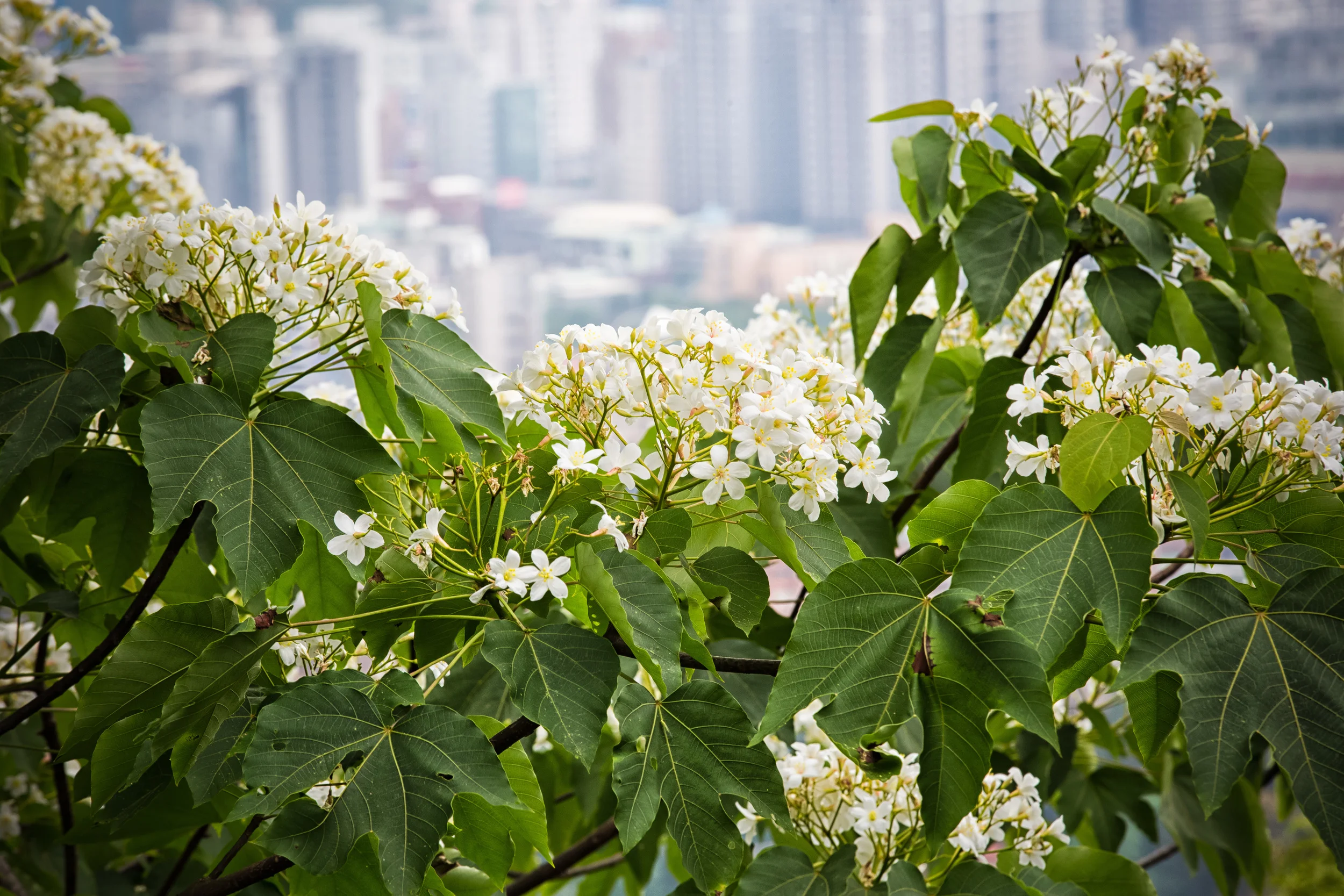GTJ-2015-0504-4.jpg