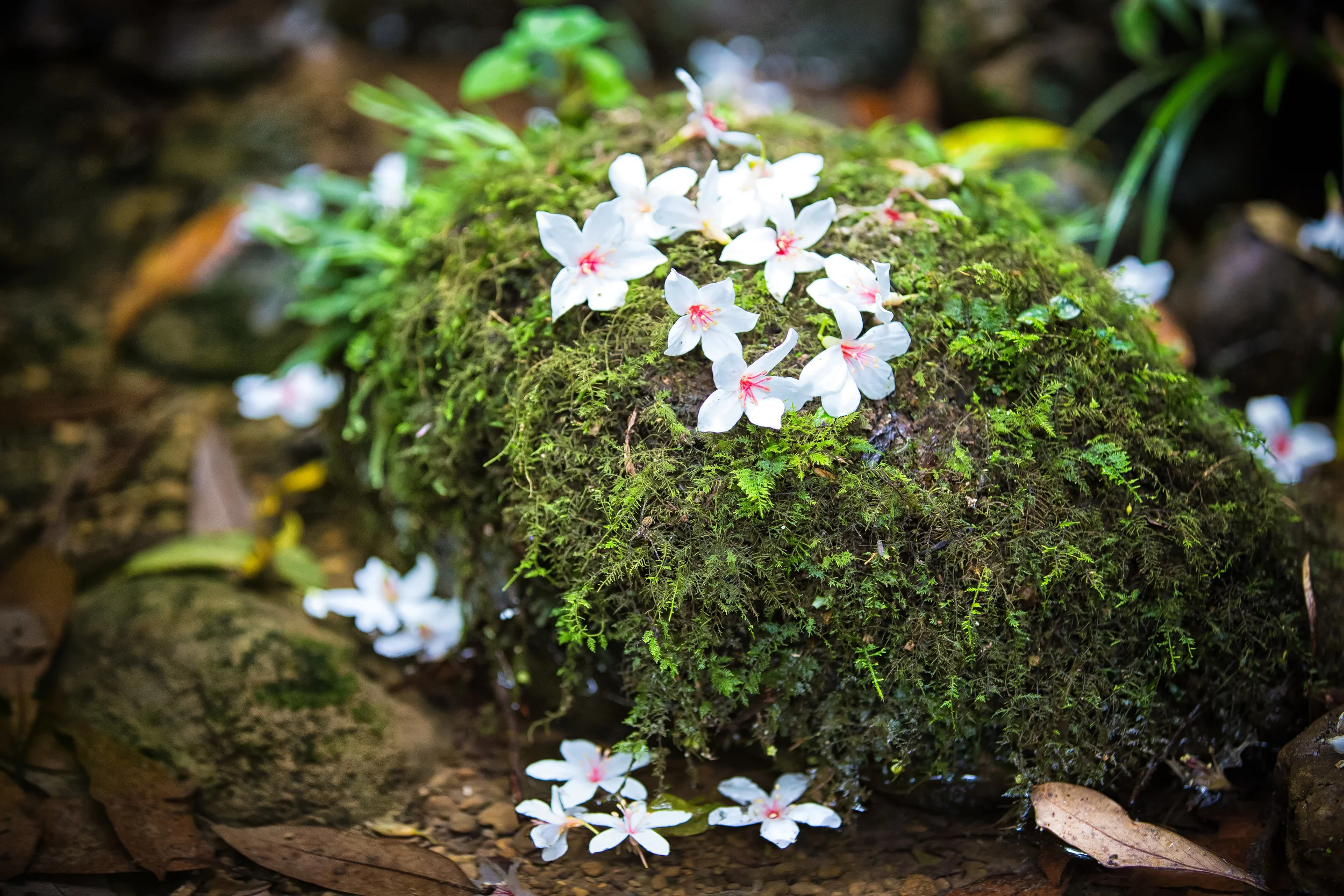 GTJ-2015-0504-24.jpg