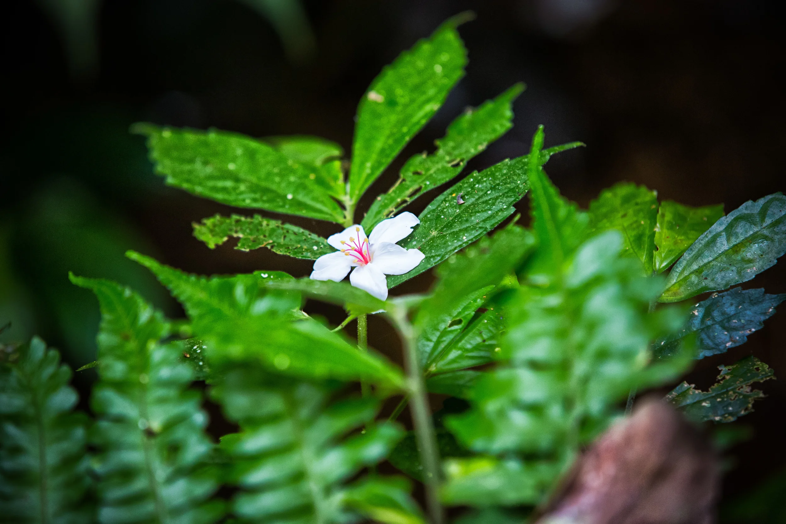 GTJ-2015-0504-29.jpg
